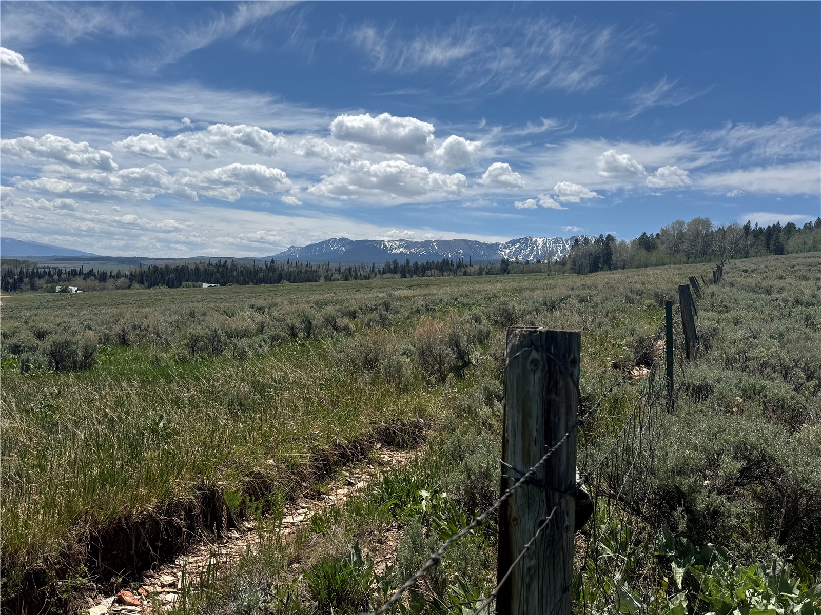 Tbd Spring Creek Ranch Road Property Photo 10