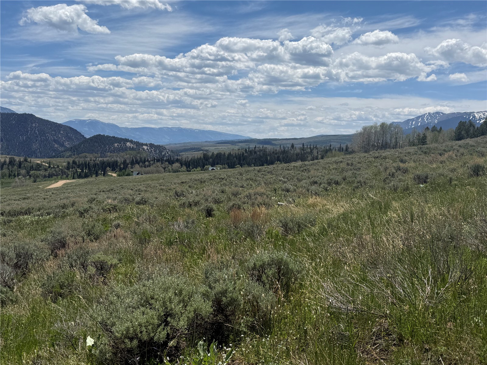 Tbd Spring Creek Ranch Road Property Photo 12
