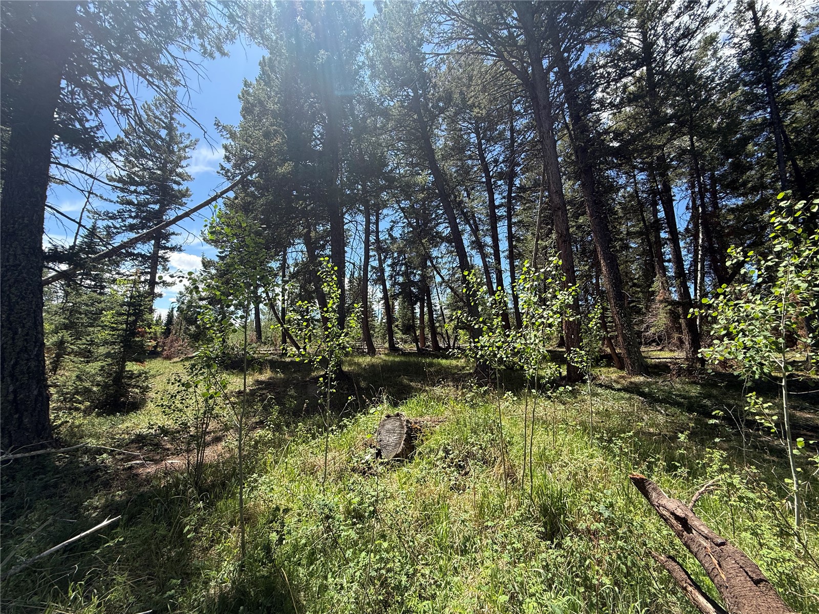 Tbd Spring Creek Ranch Road Property Photo 13