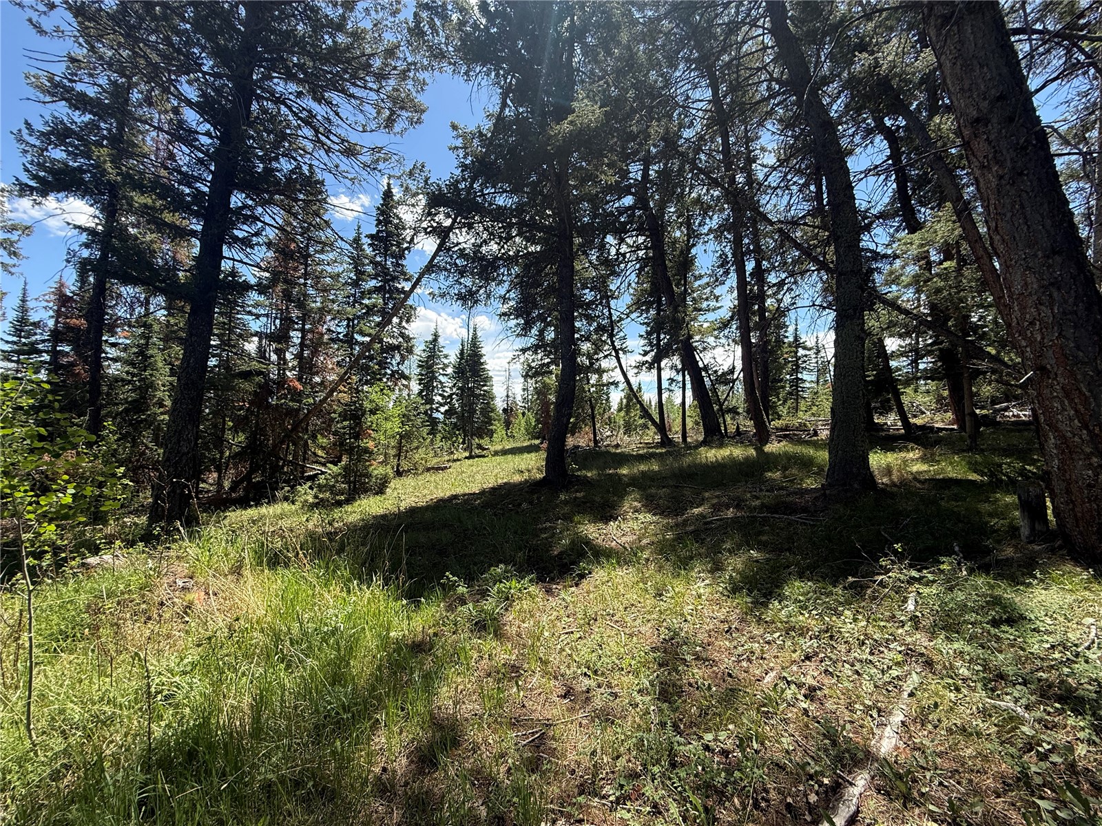 Tbd Spring Creek Ranch Road Property Photo 14