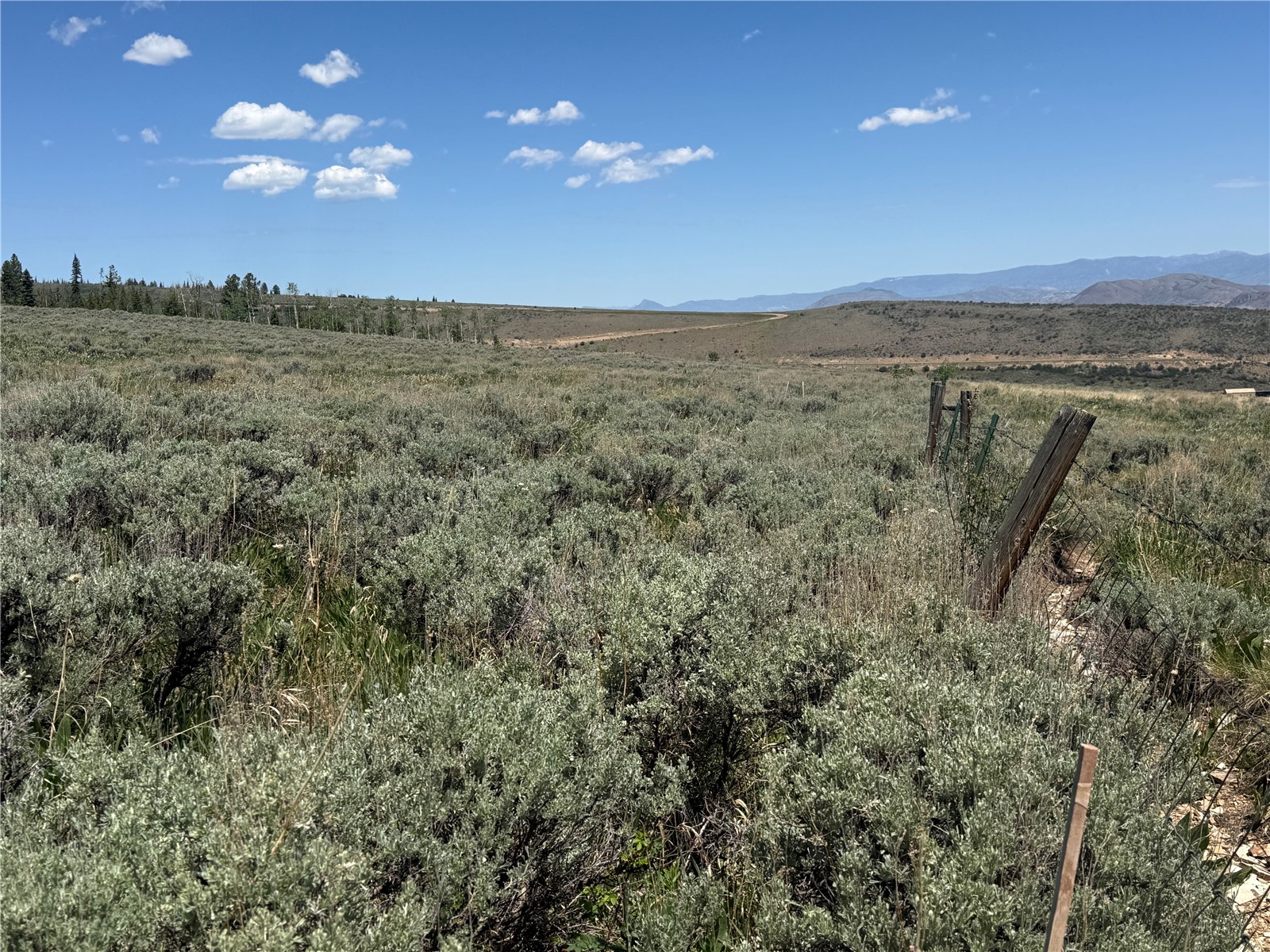 Tbd Spring Creek Ranch Road Property Photo 16