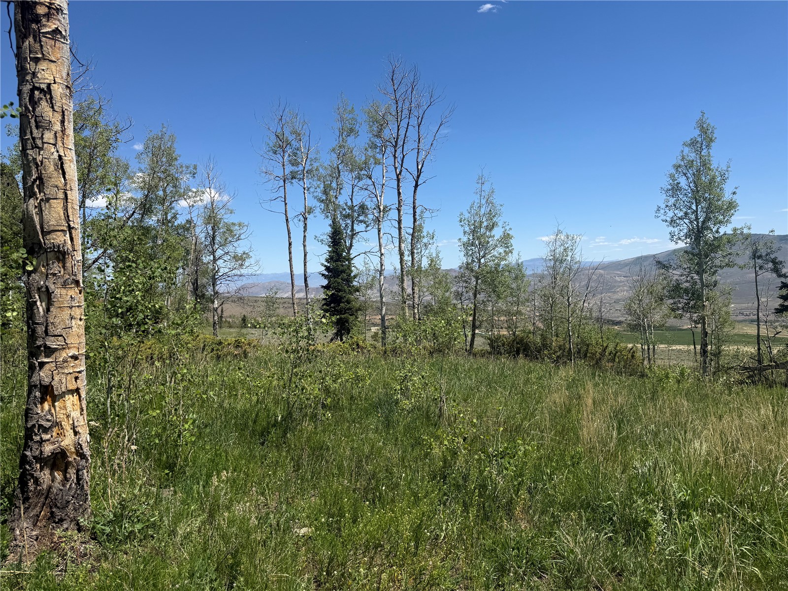 Tbd Spring Creek Ranch Road Property Photo 20