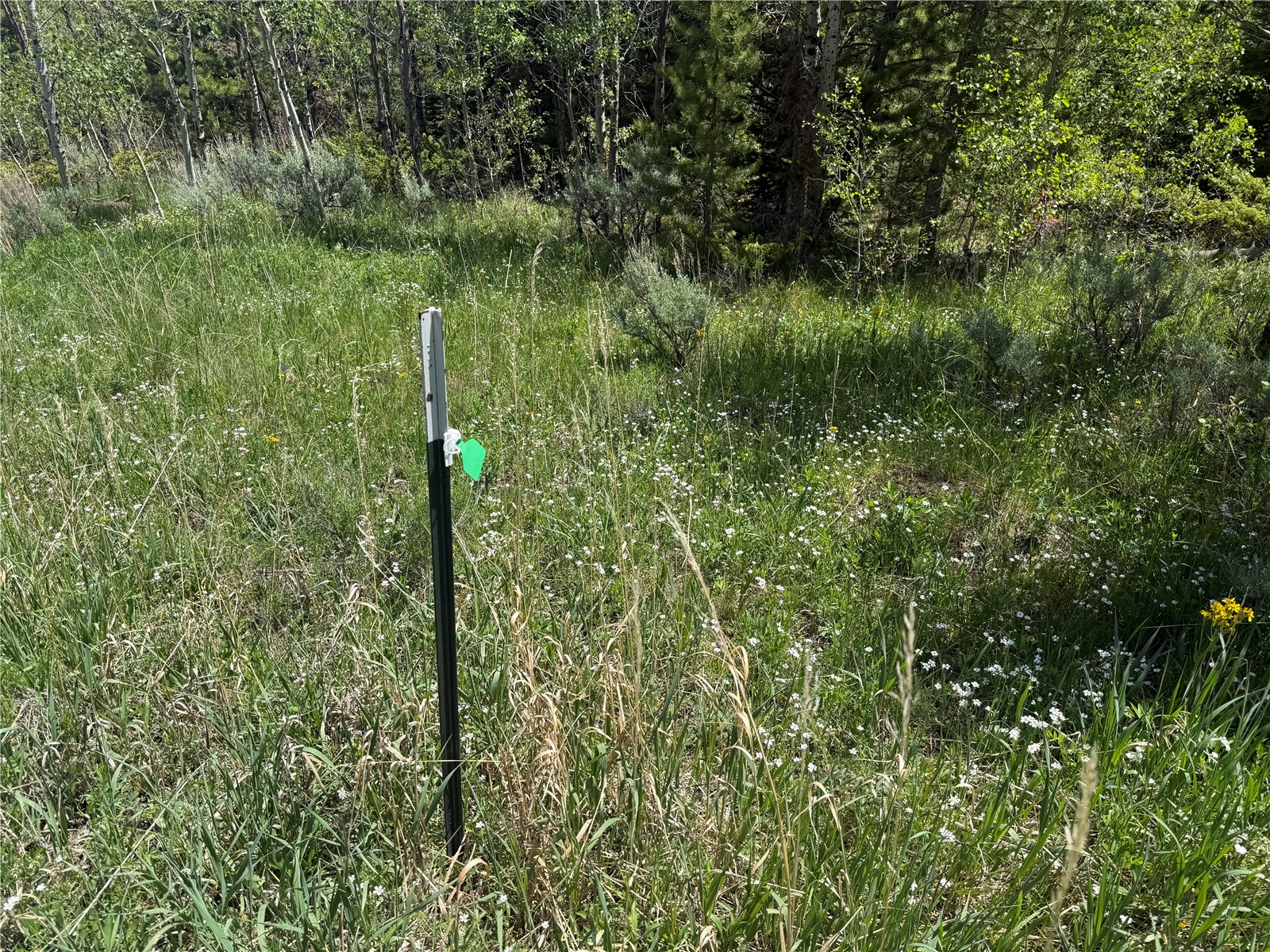 Tbd Spring Creek Ranch Road Property Photo 22