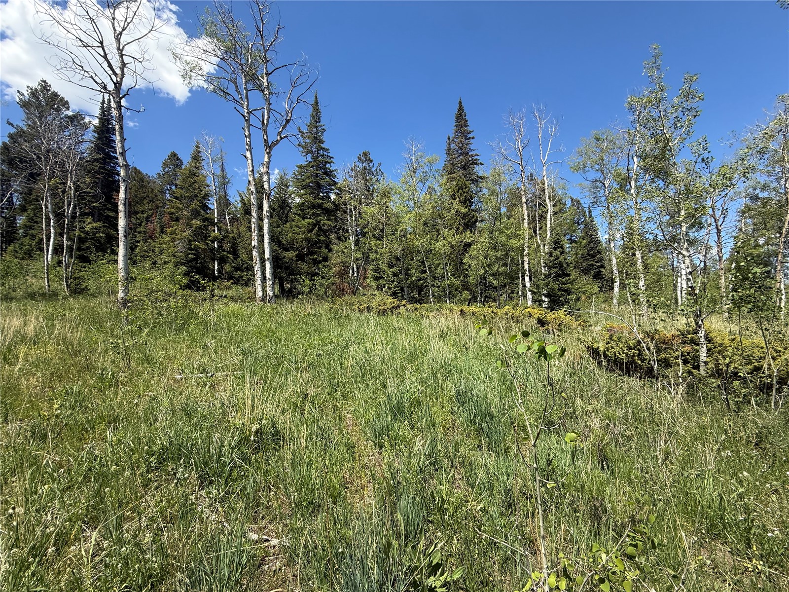Tbd Spring Creek Ranch Road Property Photo 23