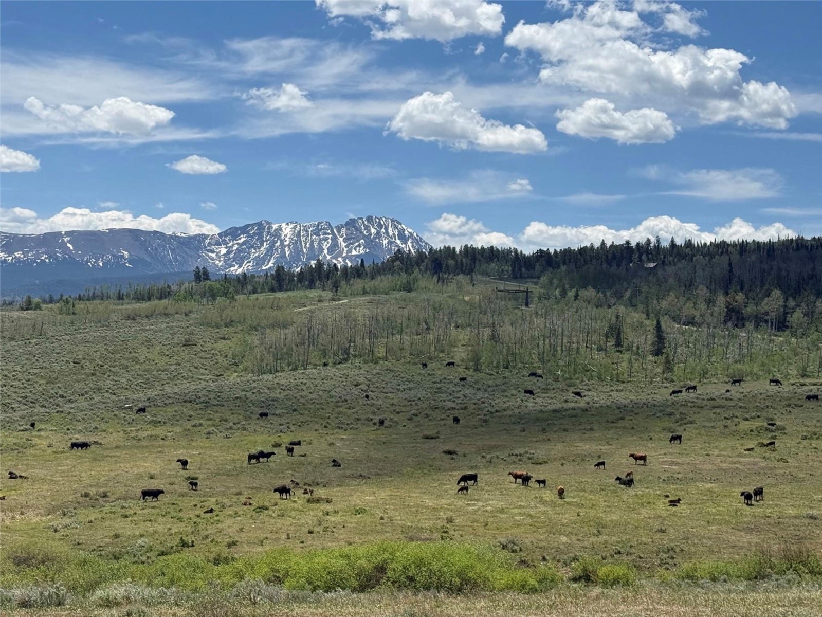 Tbd Spring Creek Ranch Road Property Photo 27