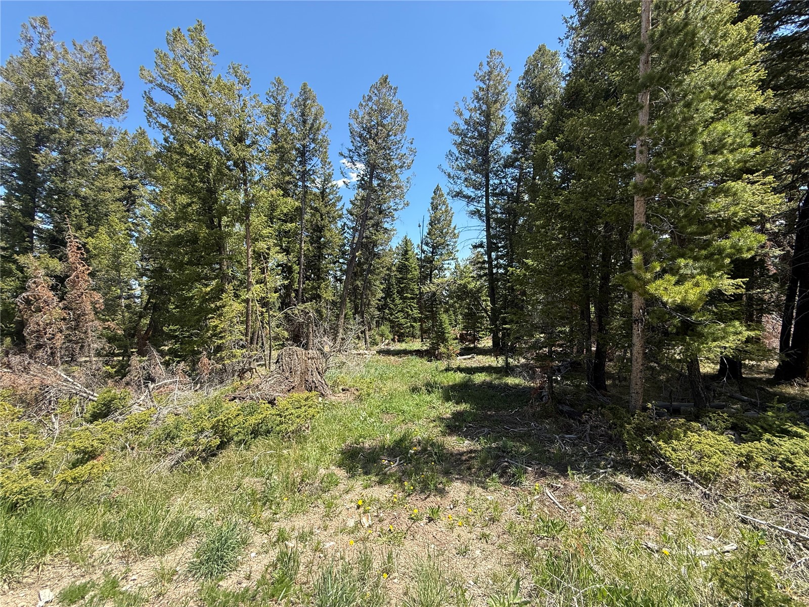 Tbd Spring Creek Ranch Road Property Photo 29