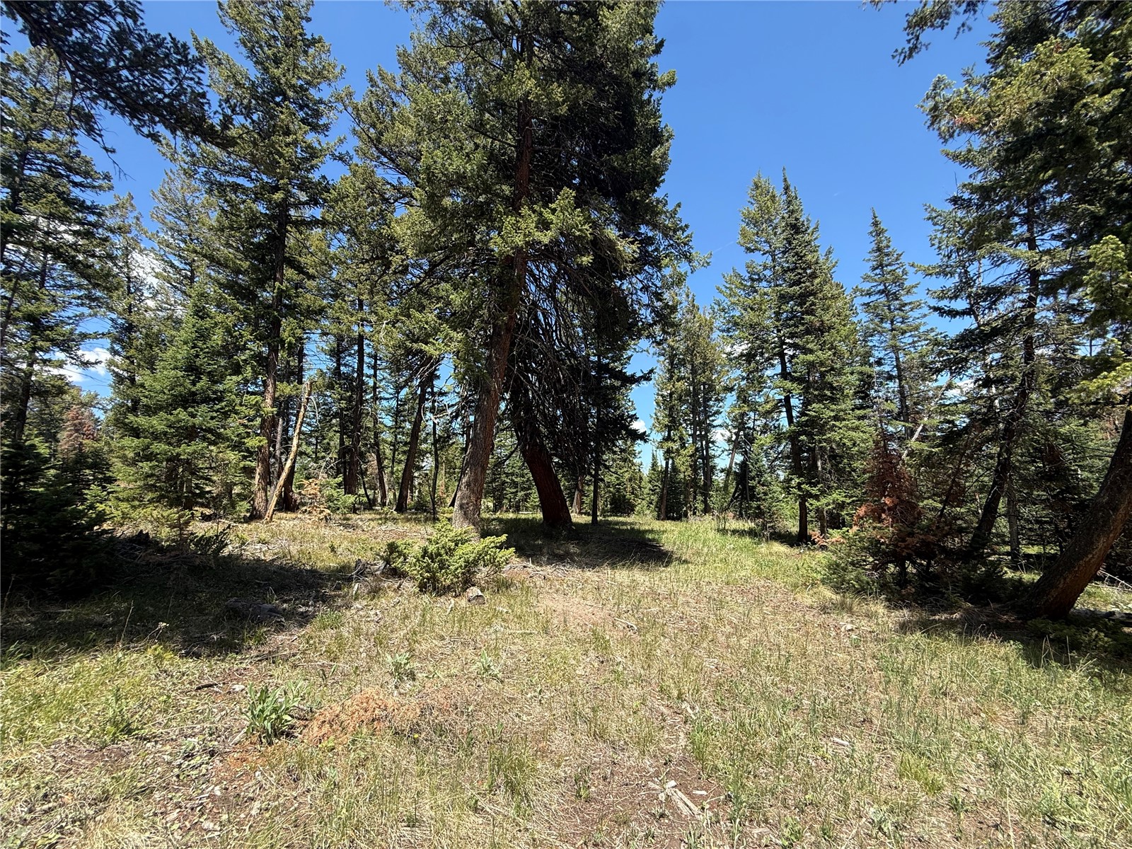 Tbd Spring Creek Ranch Road Property Photo 30