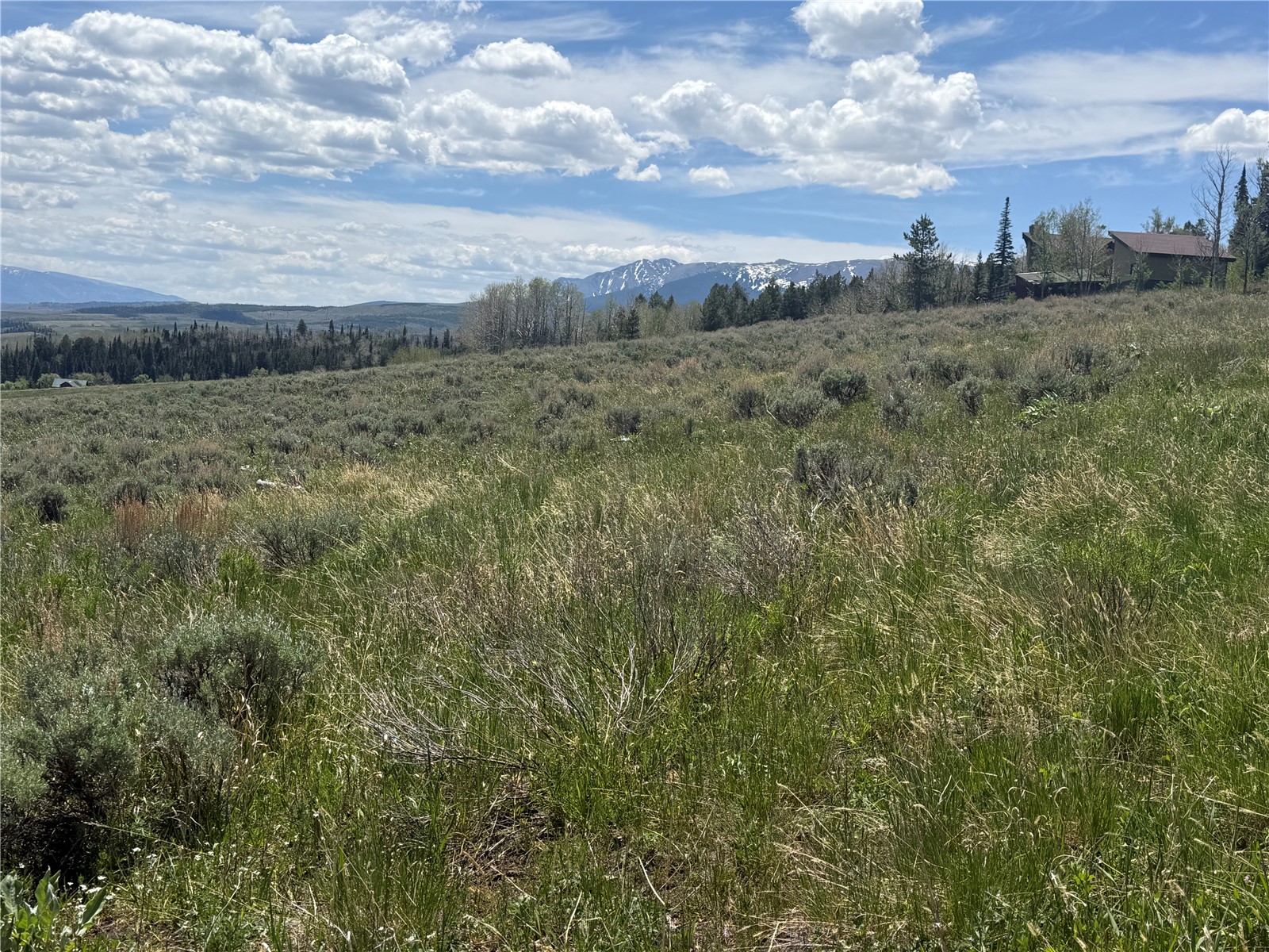 Tbd Spring Creek Ranch Road Property Photo 31