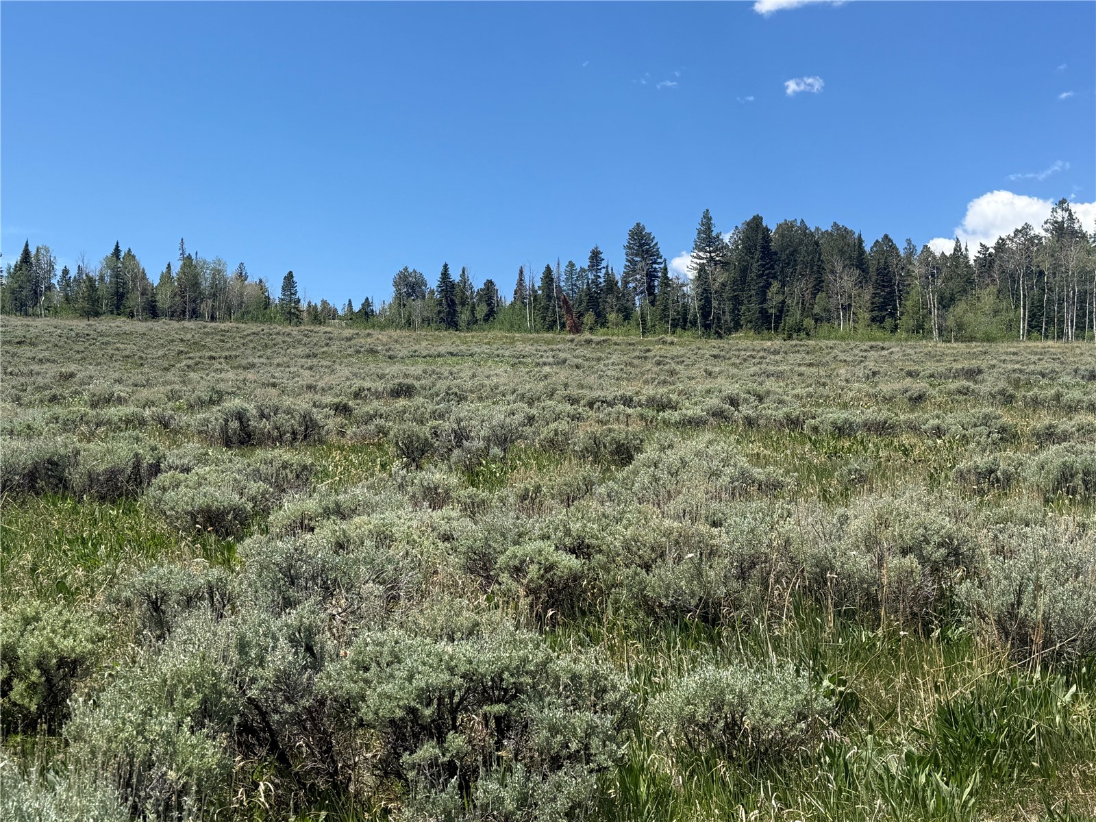Tbd Spring Creek Ranch Road Property Photo 32