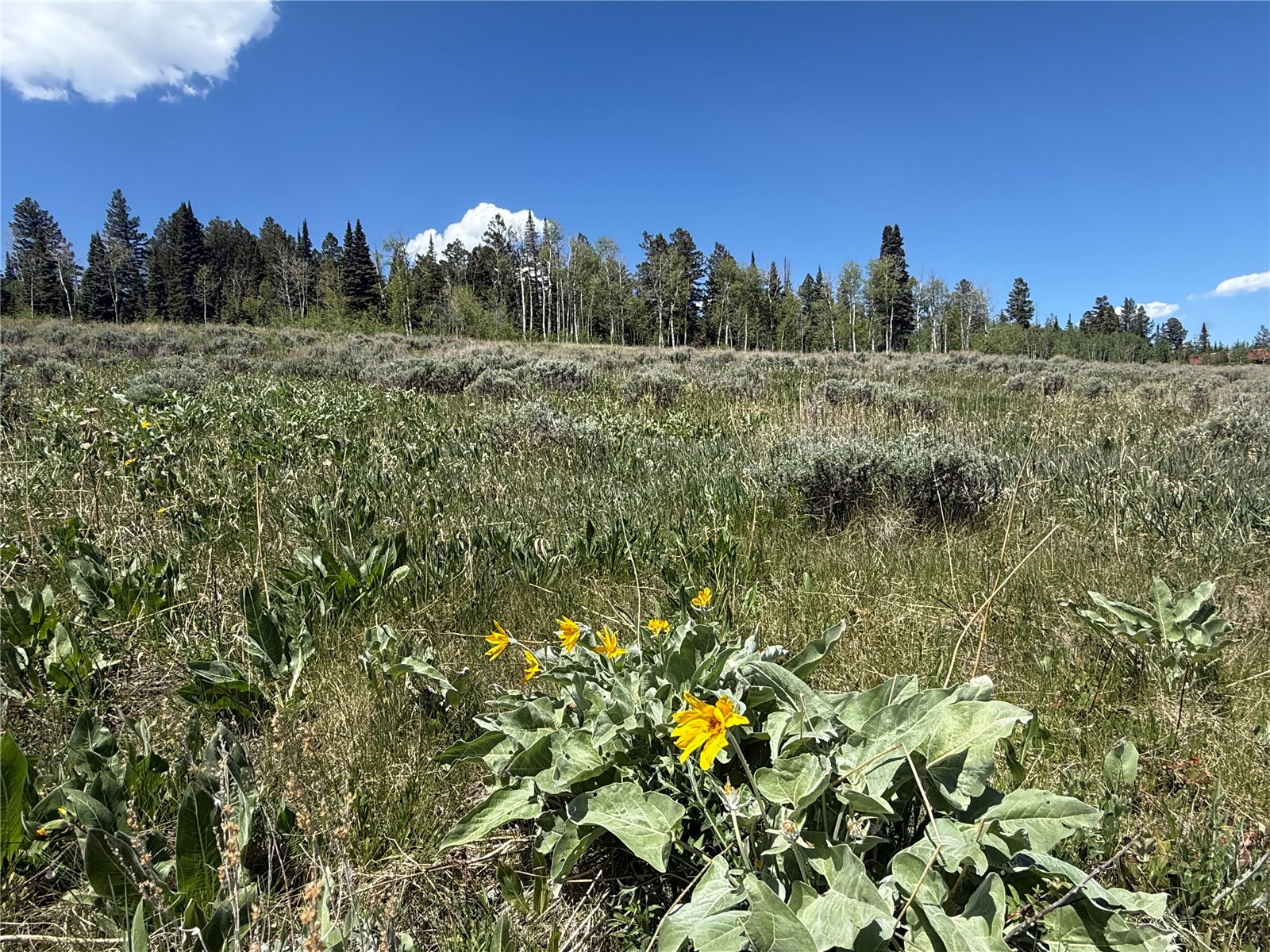 Tbd Spring Creek Ranch Road Property Photo 33