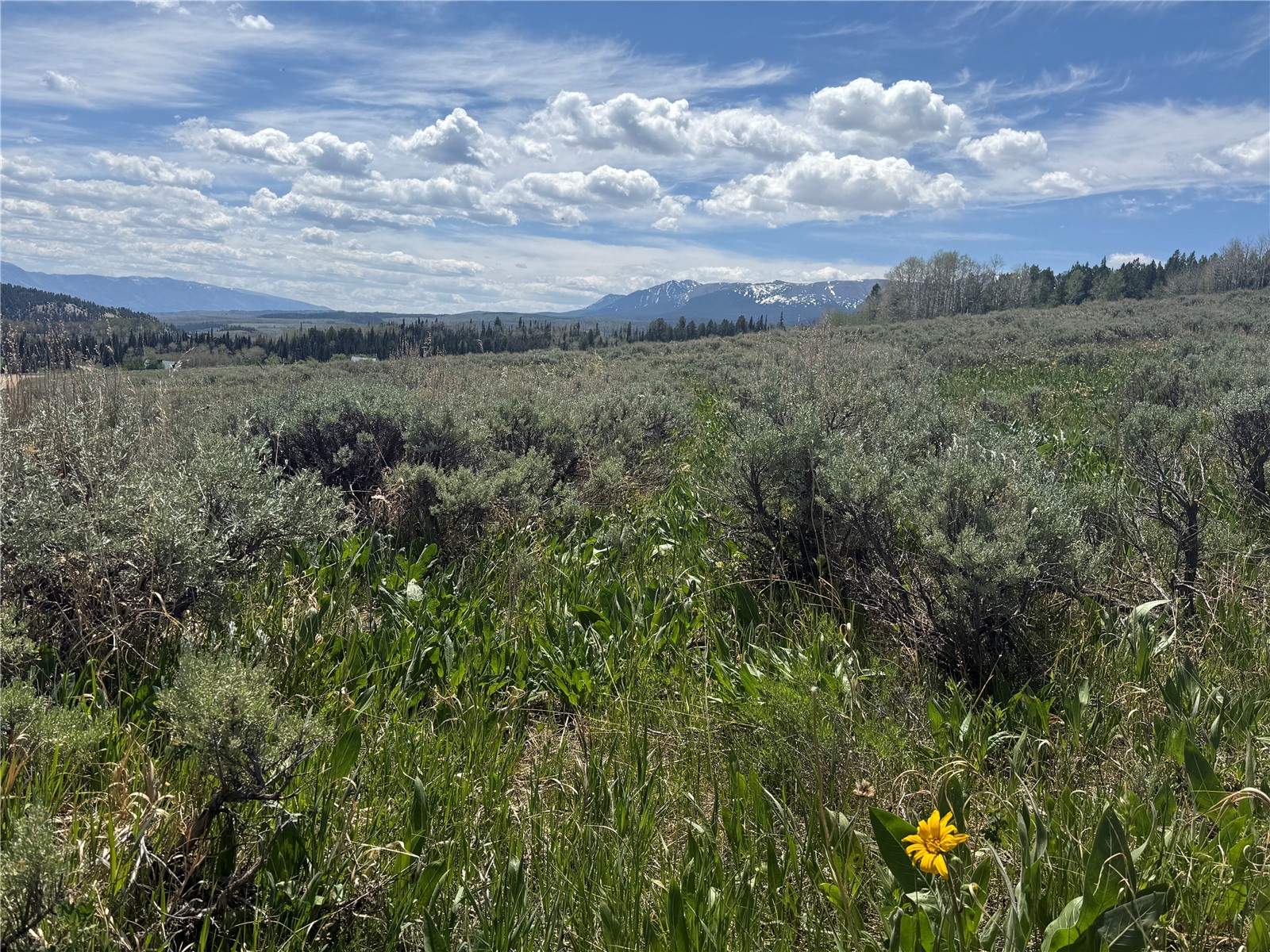 Tbd Spring Creek Ranch Road Property Photo 34
