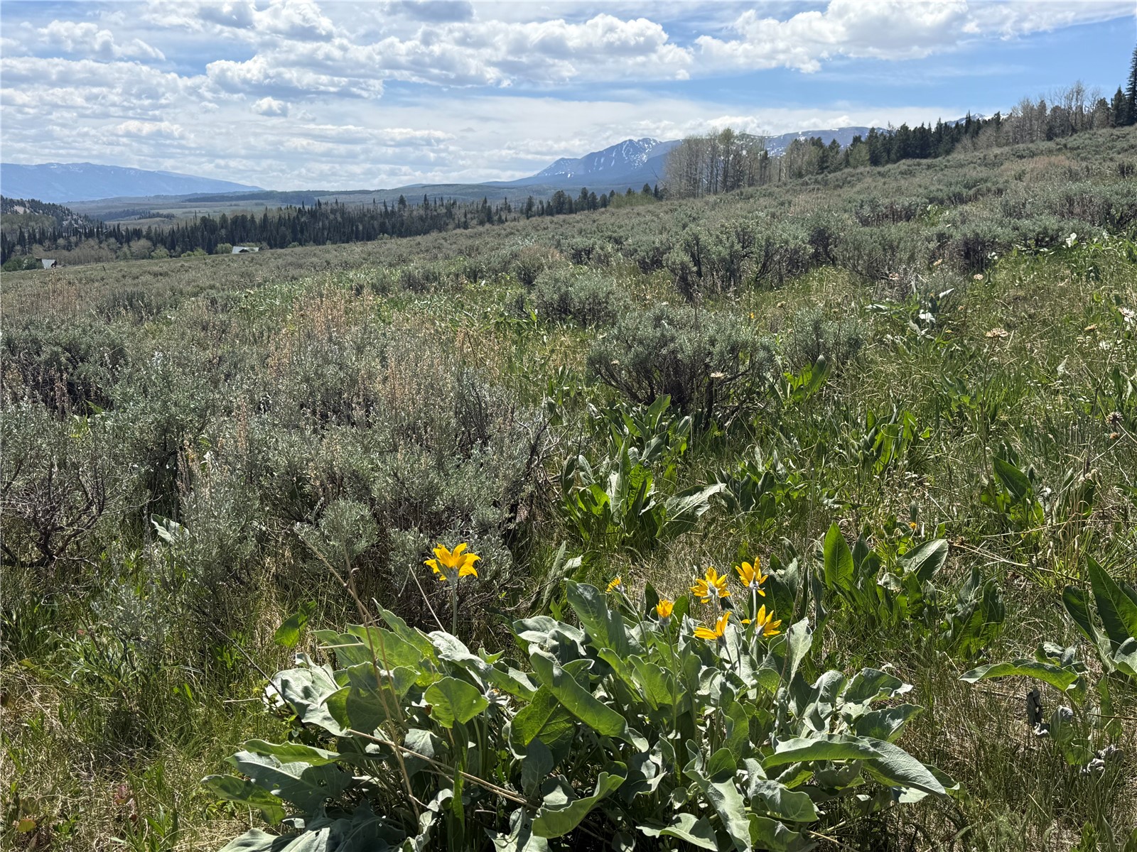 Tbd Spring Creek Ranch Road Property Photo 35