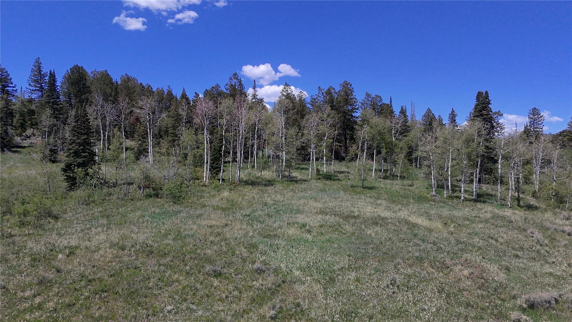 Tbd Spring Creek Ranch Road Property Photo 36