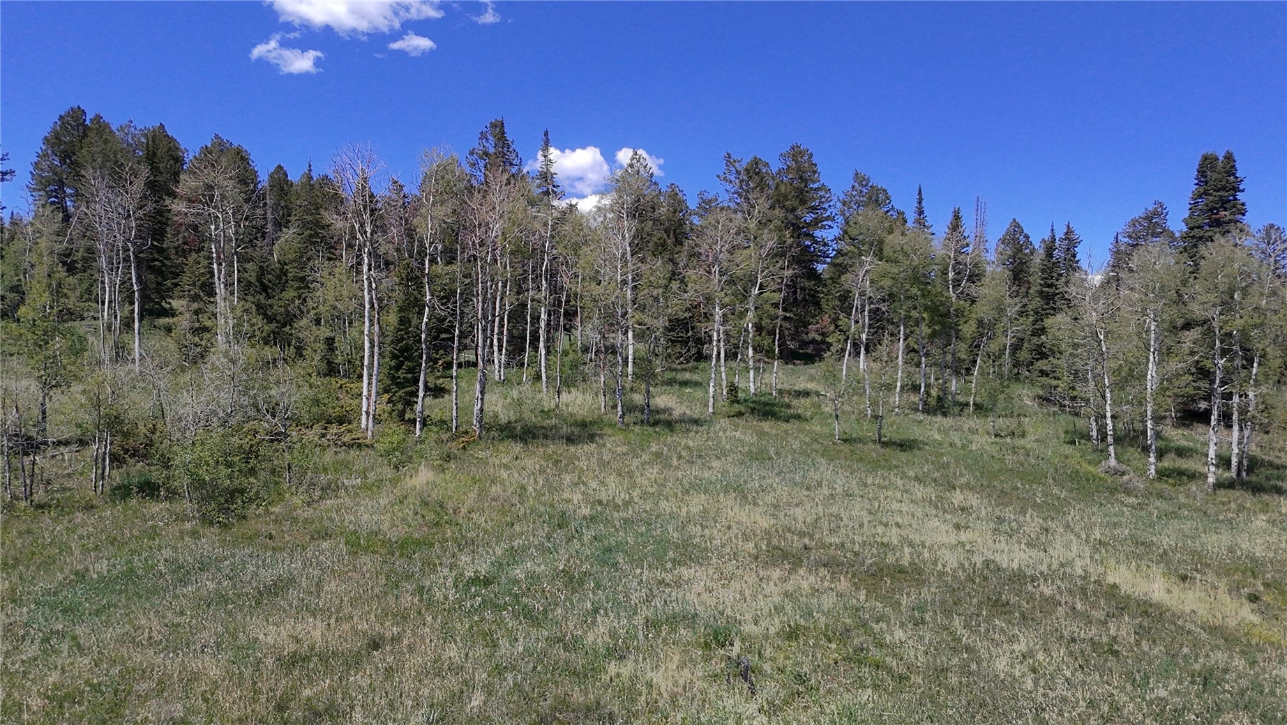 Tbd Spring Creek Ranch Road Property Photo 37