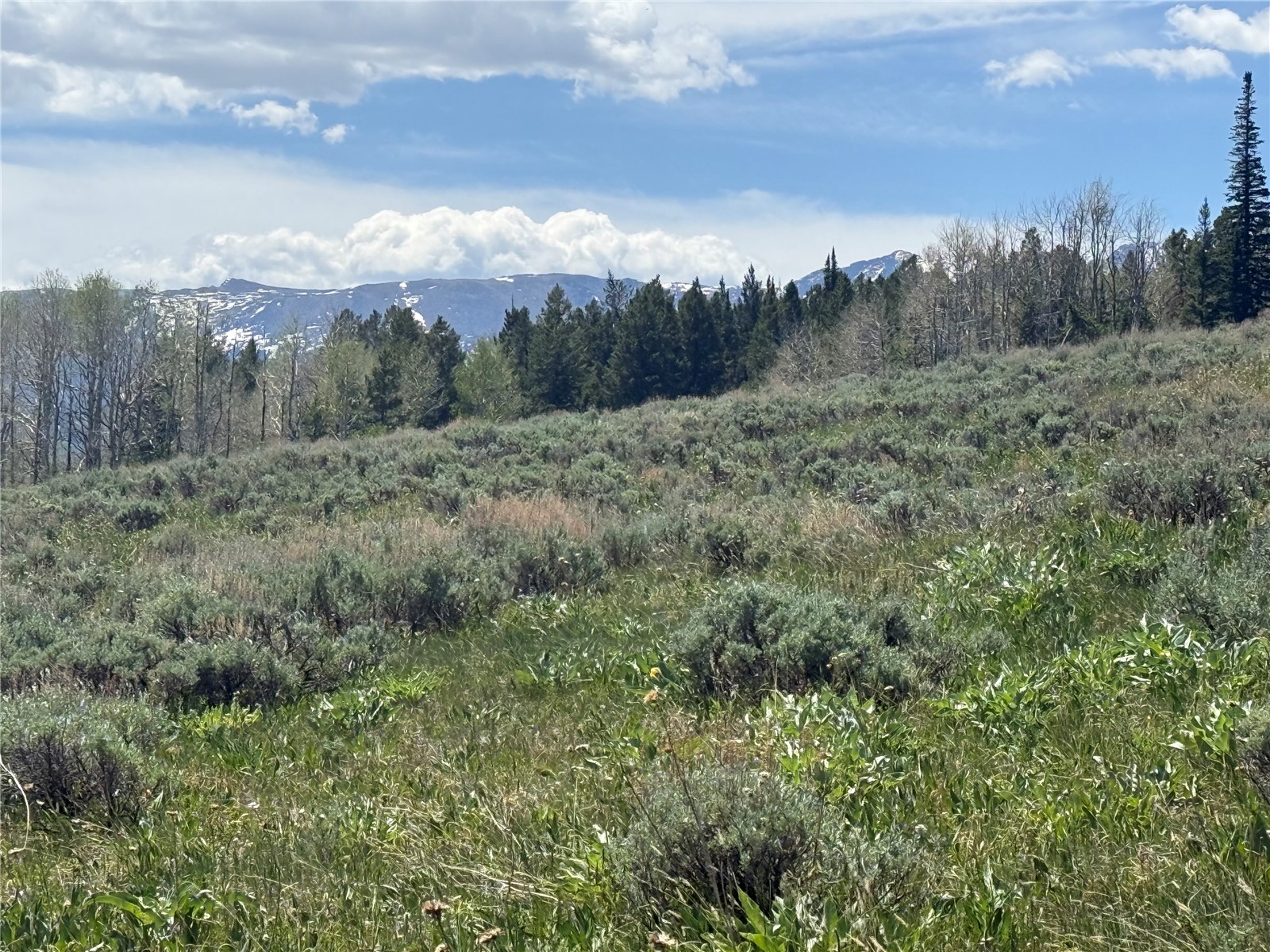 Tbd Spring Creek Ranch Road Property Photo 45
