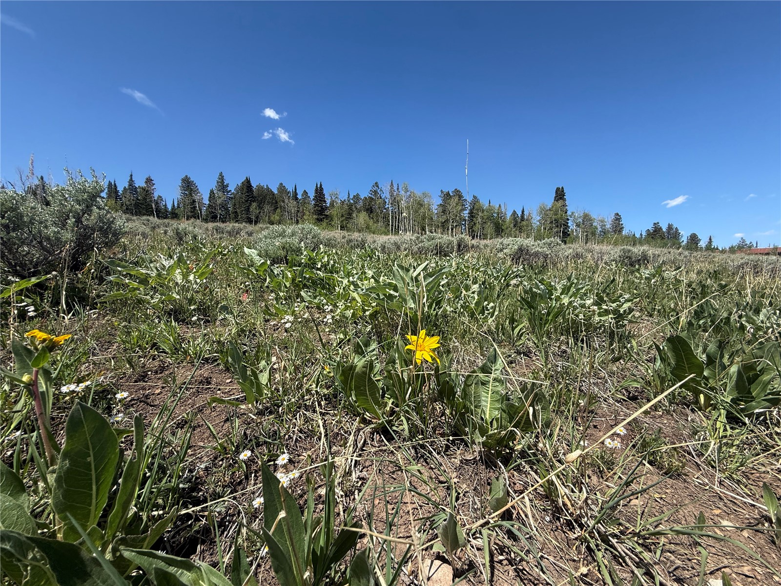 Tbd Spring Creek Ranch Road Property Photo 48