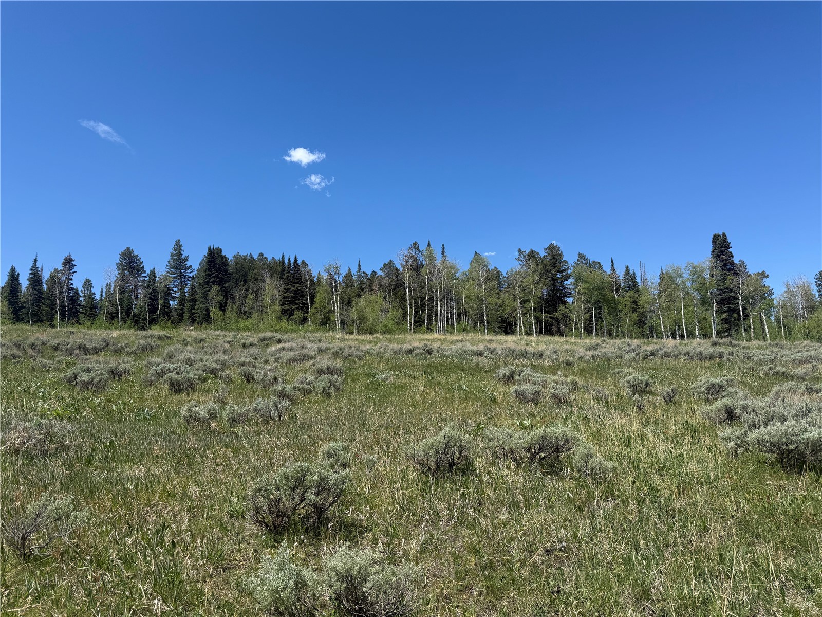 Tbd Spring Creek Ranch Road Property Photo 49