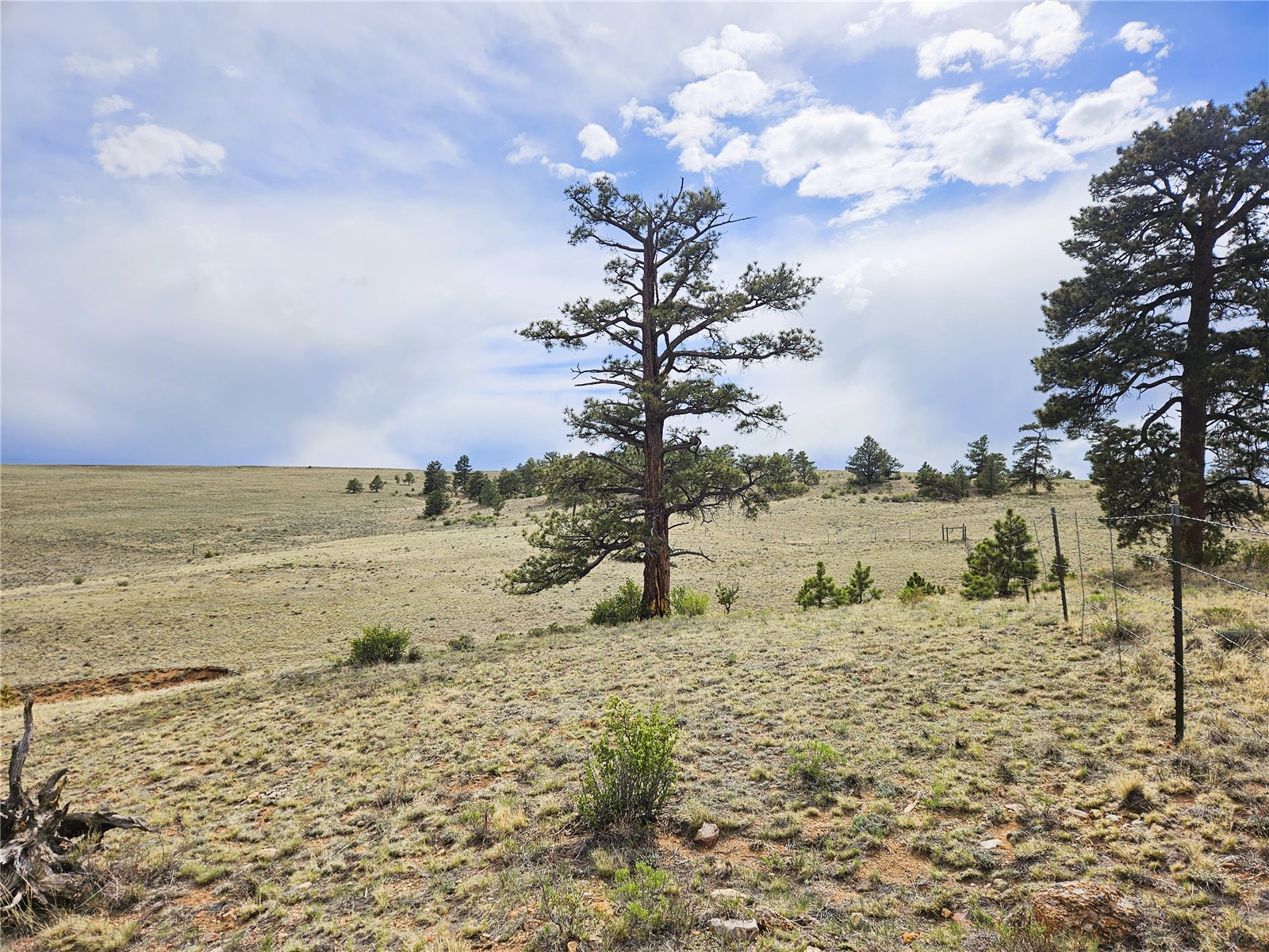 Pcs#24131 Chato Road Property Photo 4