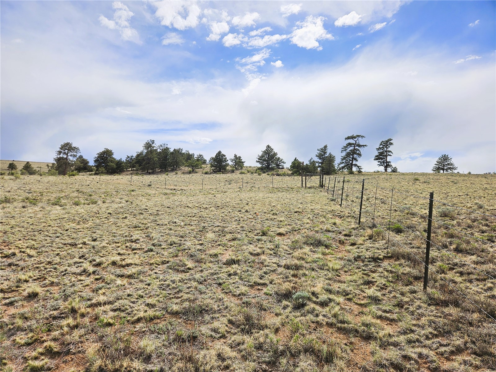 Pcs#24131 Chato Road Property Photo 10