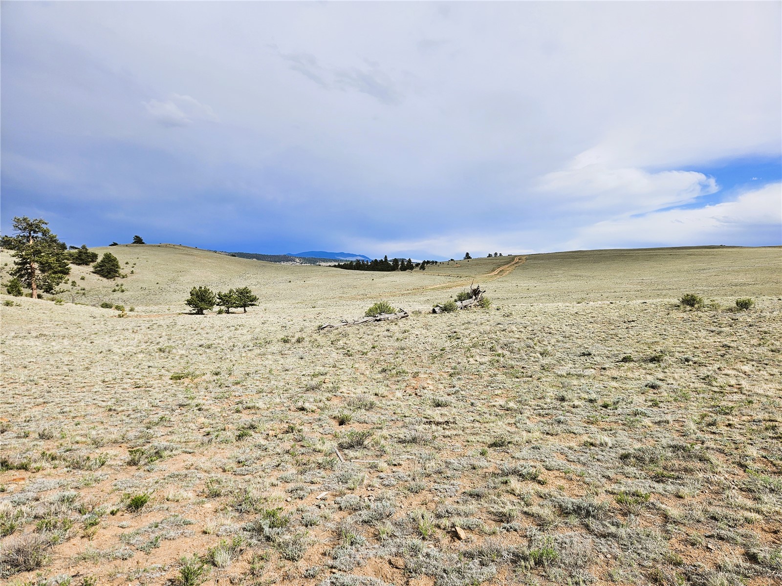 Pcs#24131 Chato Road Property Photo 12