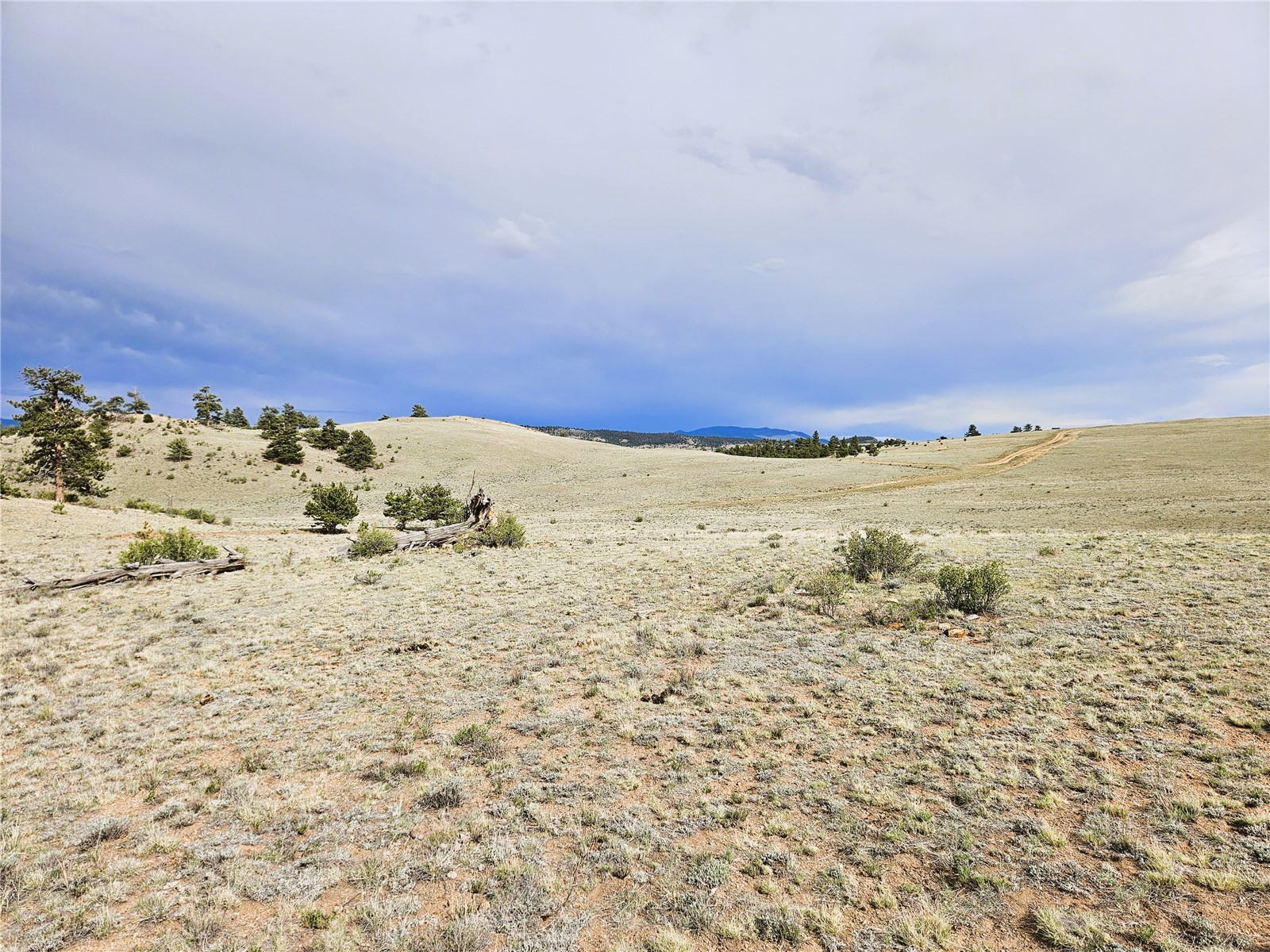 Pcs#24131 Chato Road Property Photo 15