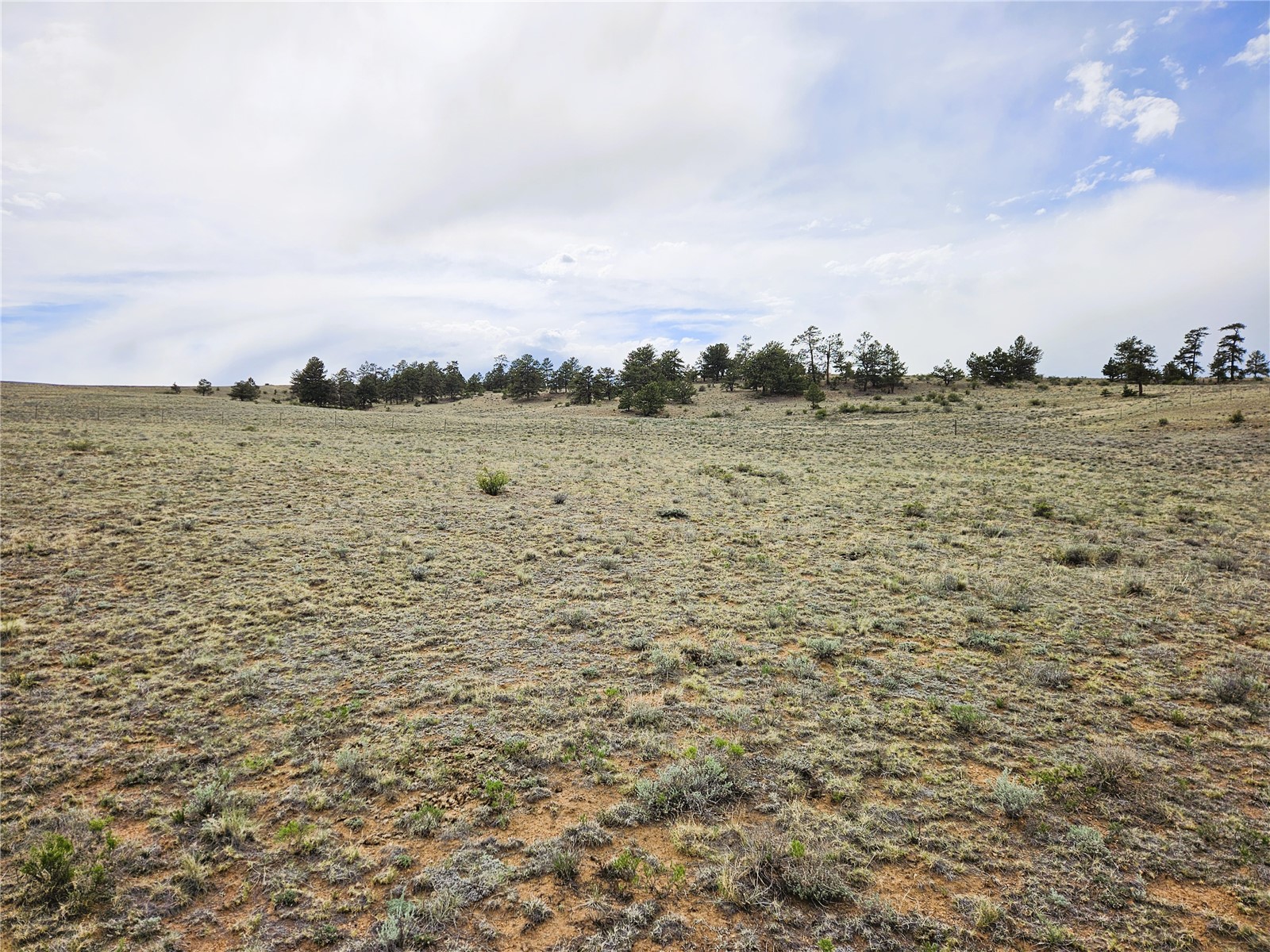 Pcs#24131 Chato Road Property Photo 22