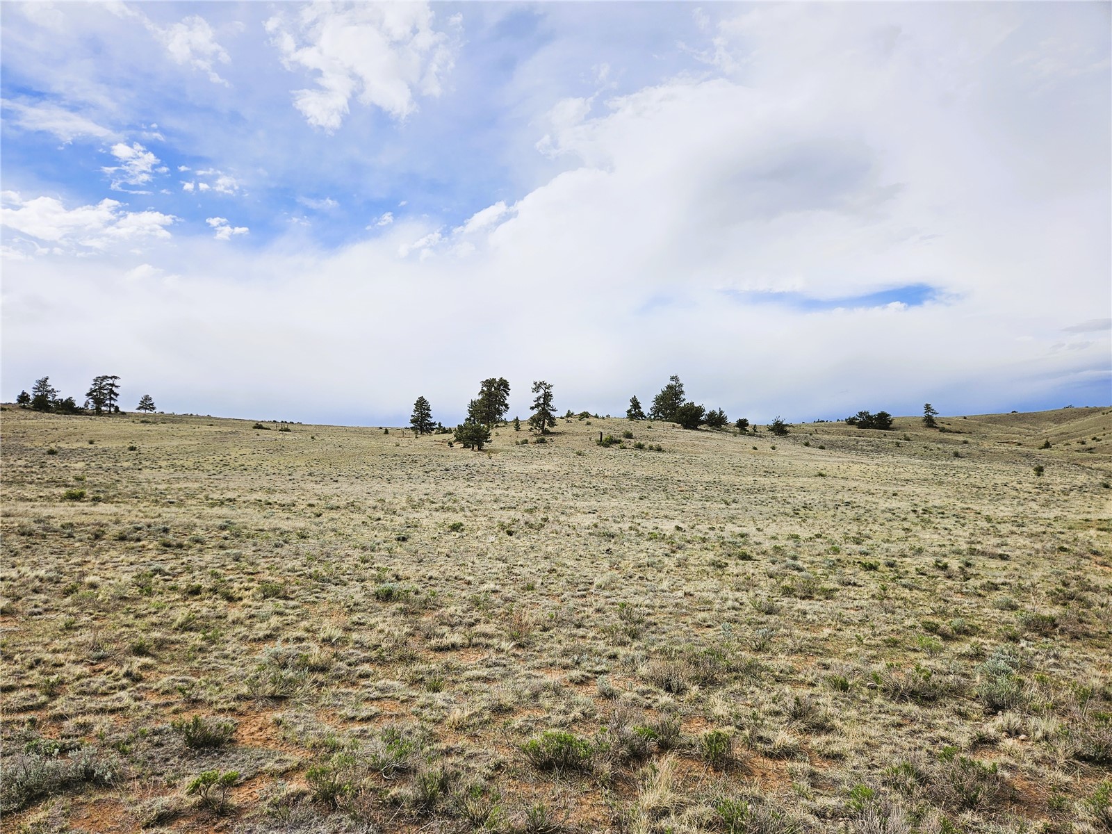 Pcs#24131 Chato Road Property Photo 24