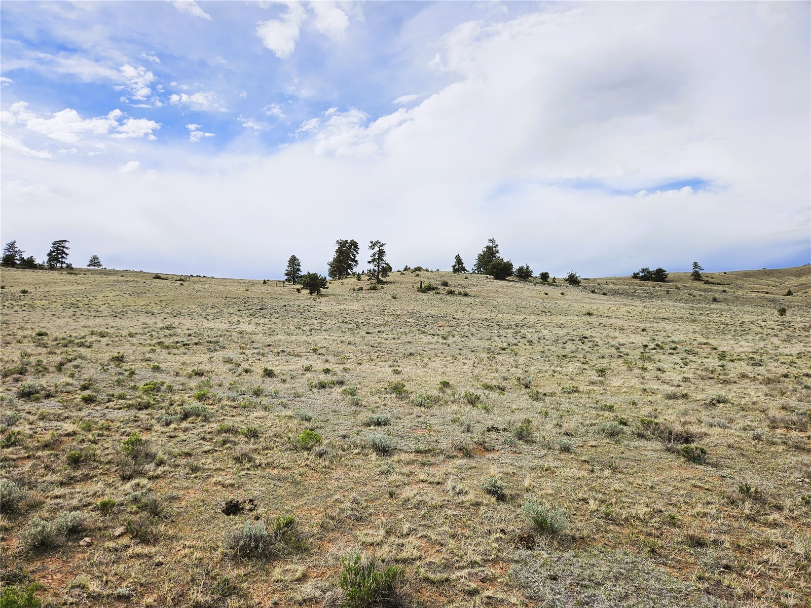 Pcs#24131 Chato Road Property Photo 25