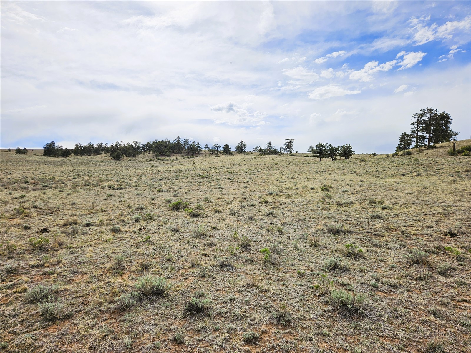 Pcs#24131 Chato Road Property Photo 26