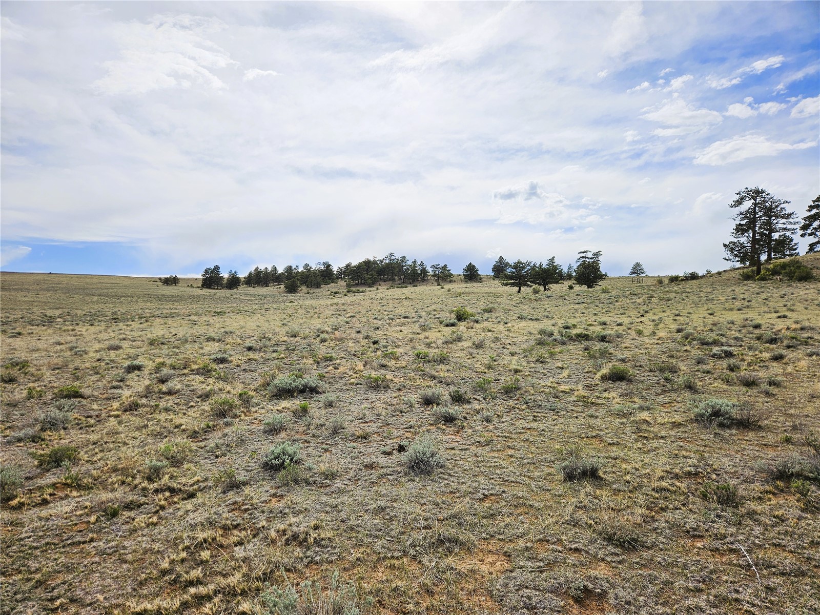Pcs#24131 Chato Road Property Photo 27