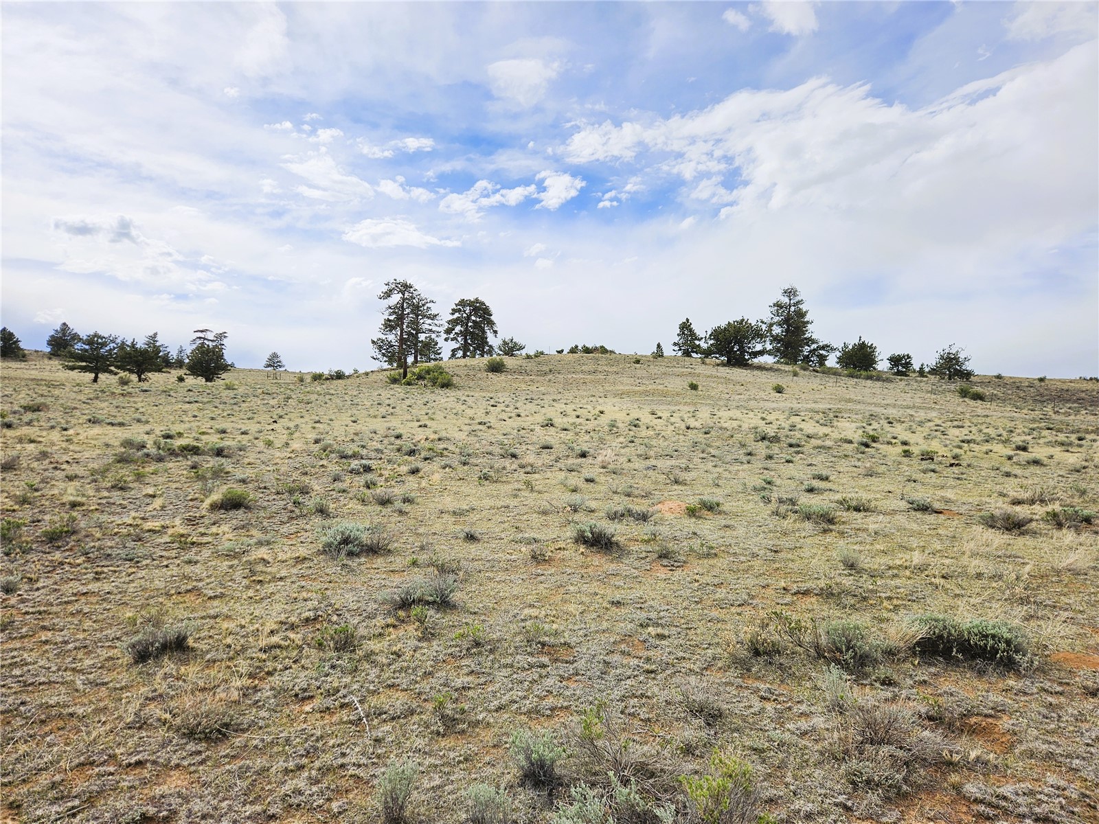 Pcs#24131 Chato Road Property Photo 28