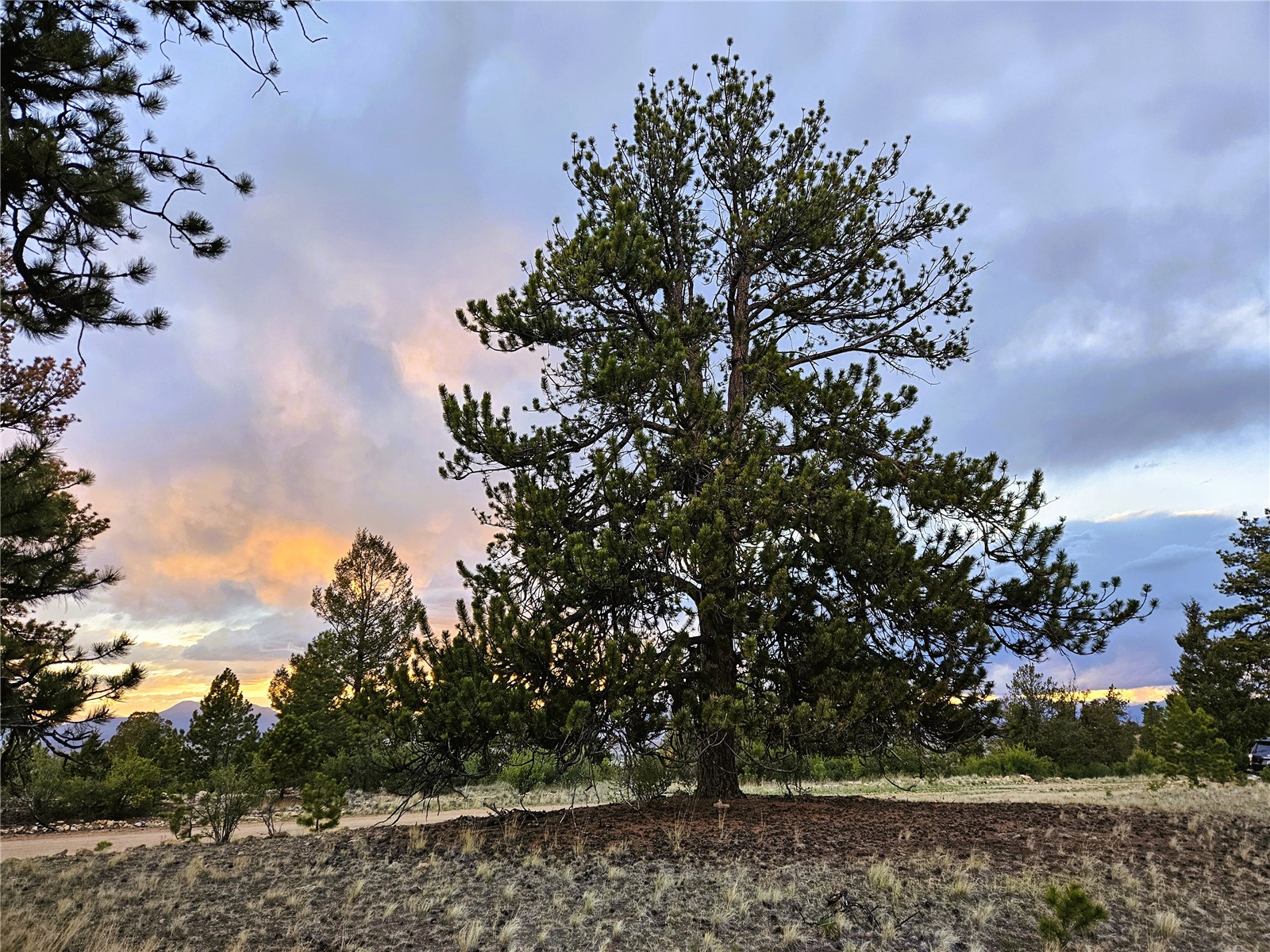 Pcs#24807 Satanta Trail Property Photo 2
