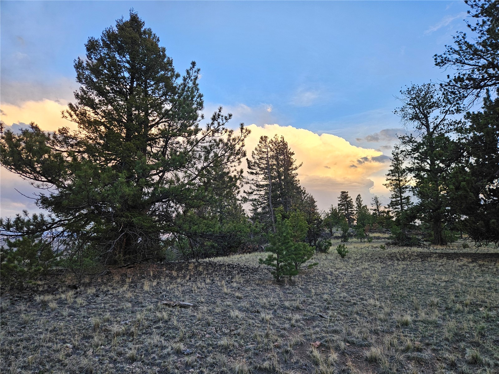 Pcs#24807 Satanta Trail Property Photo 4
