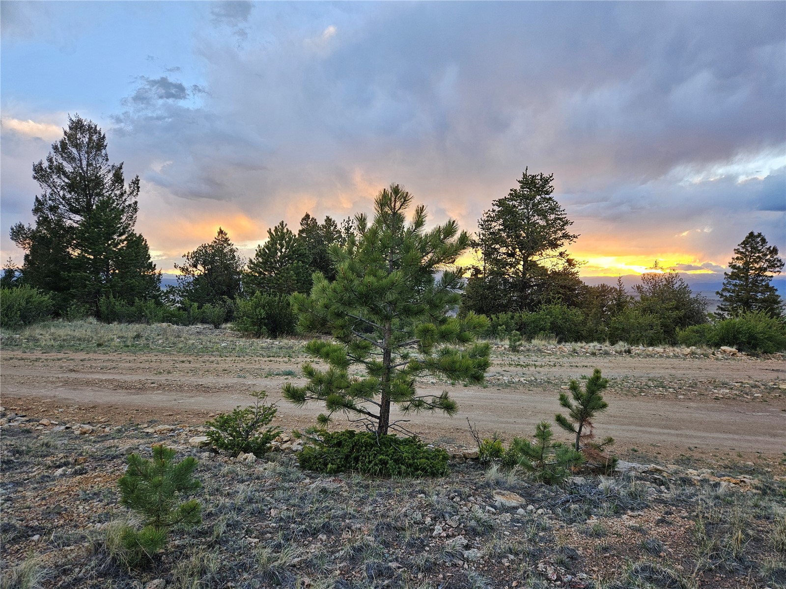 Pcs#24807 Satanta Trail Property Photo 5