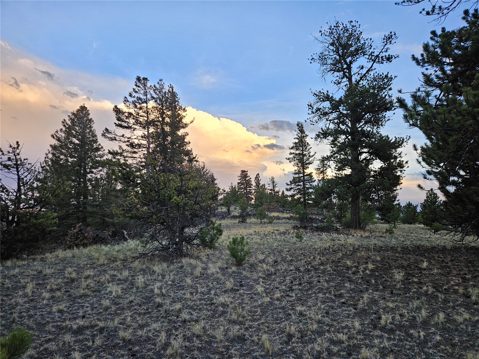 Pcs#24807 Satanta Trail Property Photo 6
