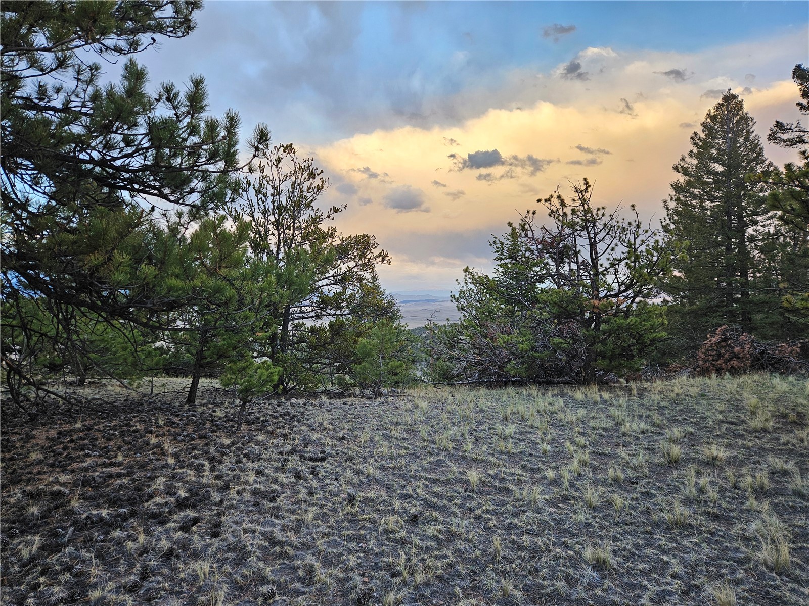 Pcs#24807 Satanta Trail Property Photo 7