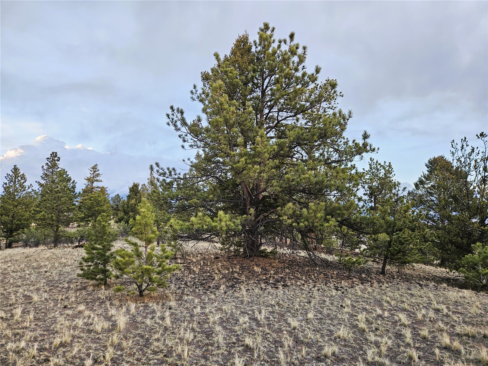 Pcs#24807 Satanta Trail Property Photo 9