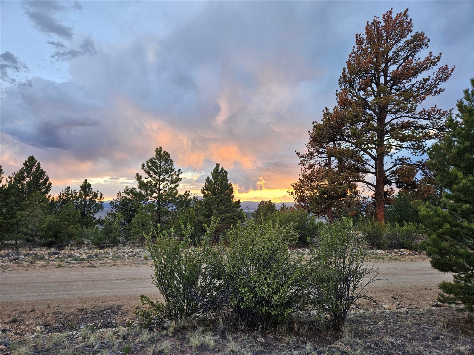 Pcs#24807 Satanta Trail Property Photo 13