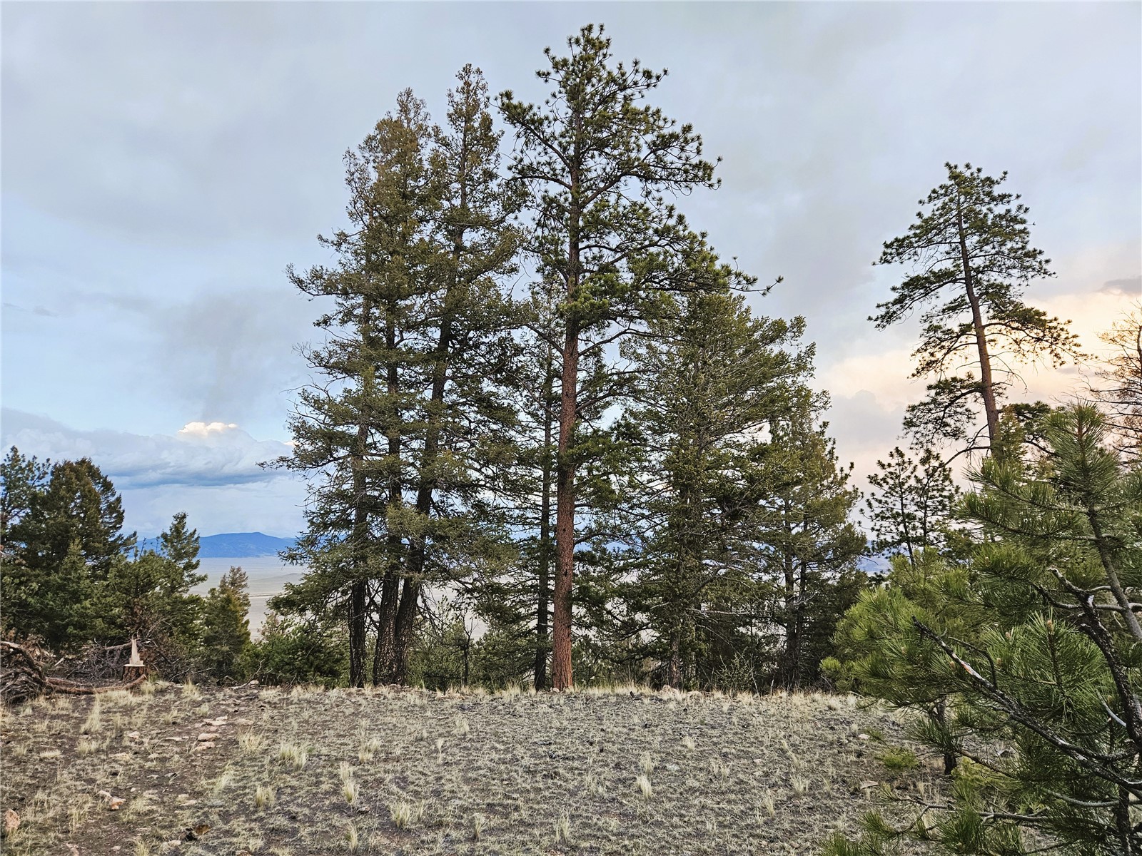 Pcs#24807 Satanta Trail Property Photo 14