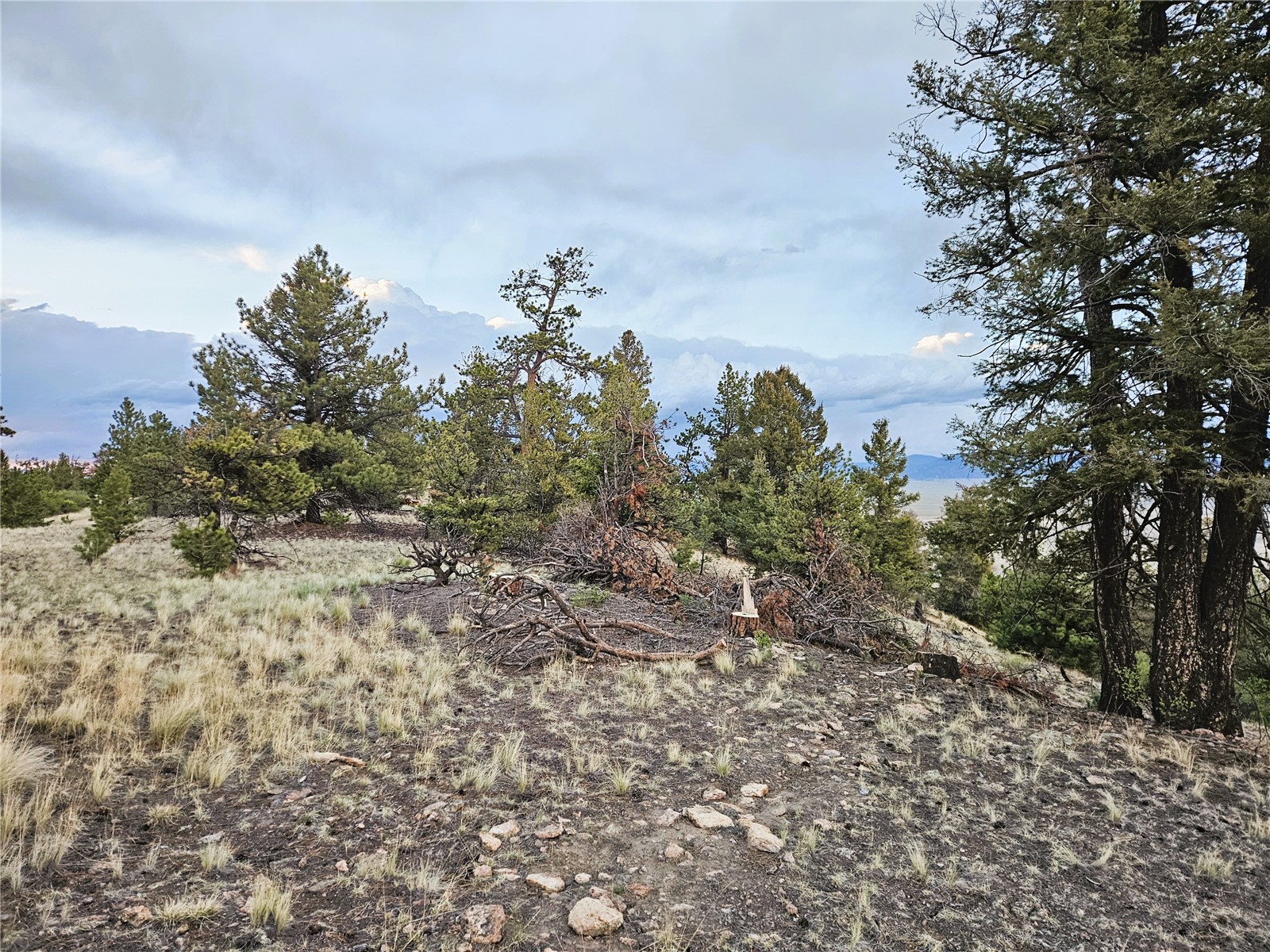 Pcs#24807 Satanta Trail Property Photo 15