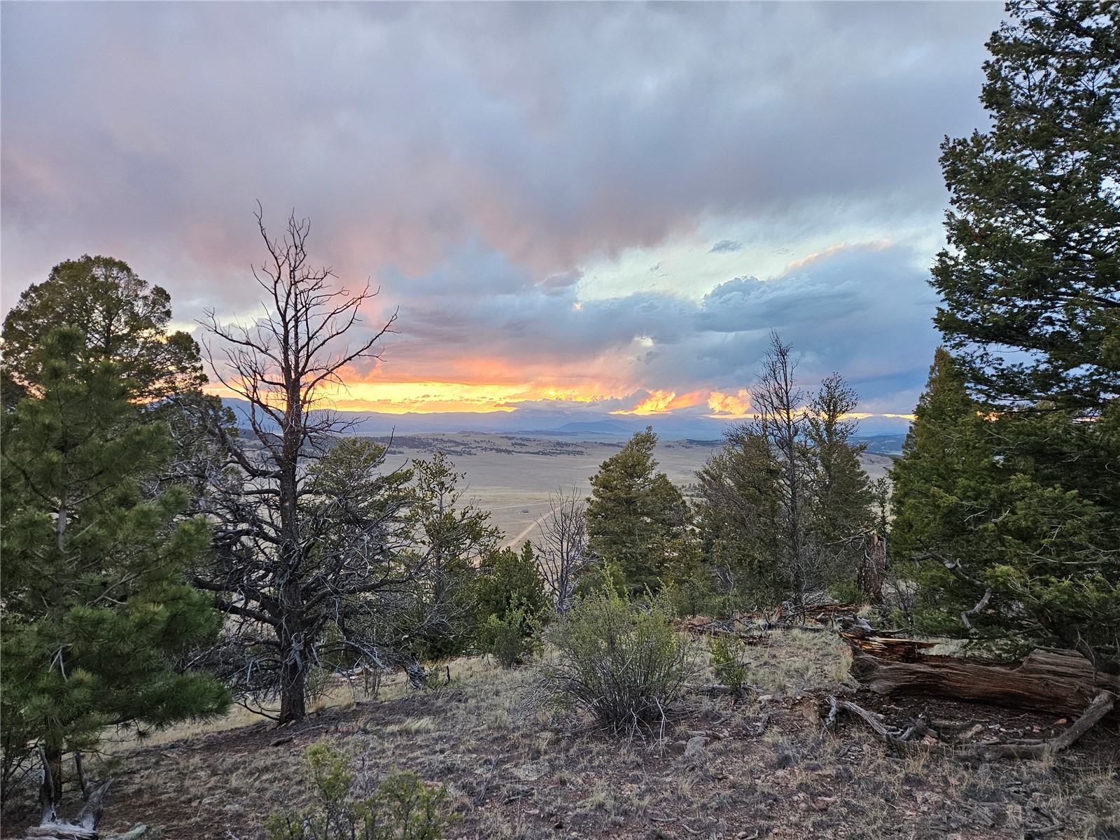 Pcs#24807 Satanta Trail Property Photo 16