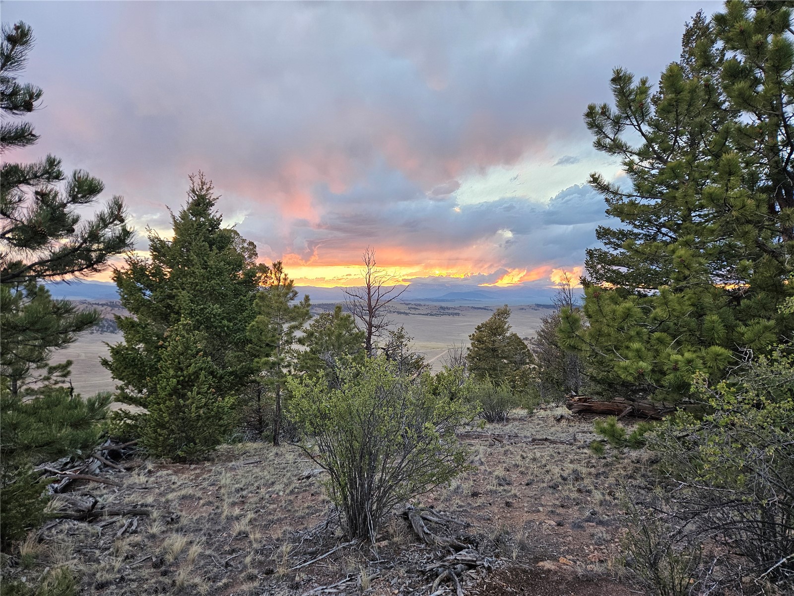 Pcs#24807 Satanta Trail Property Photo 17
