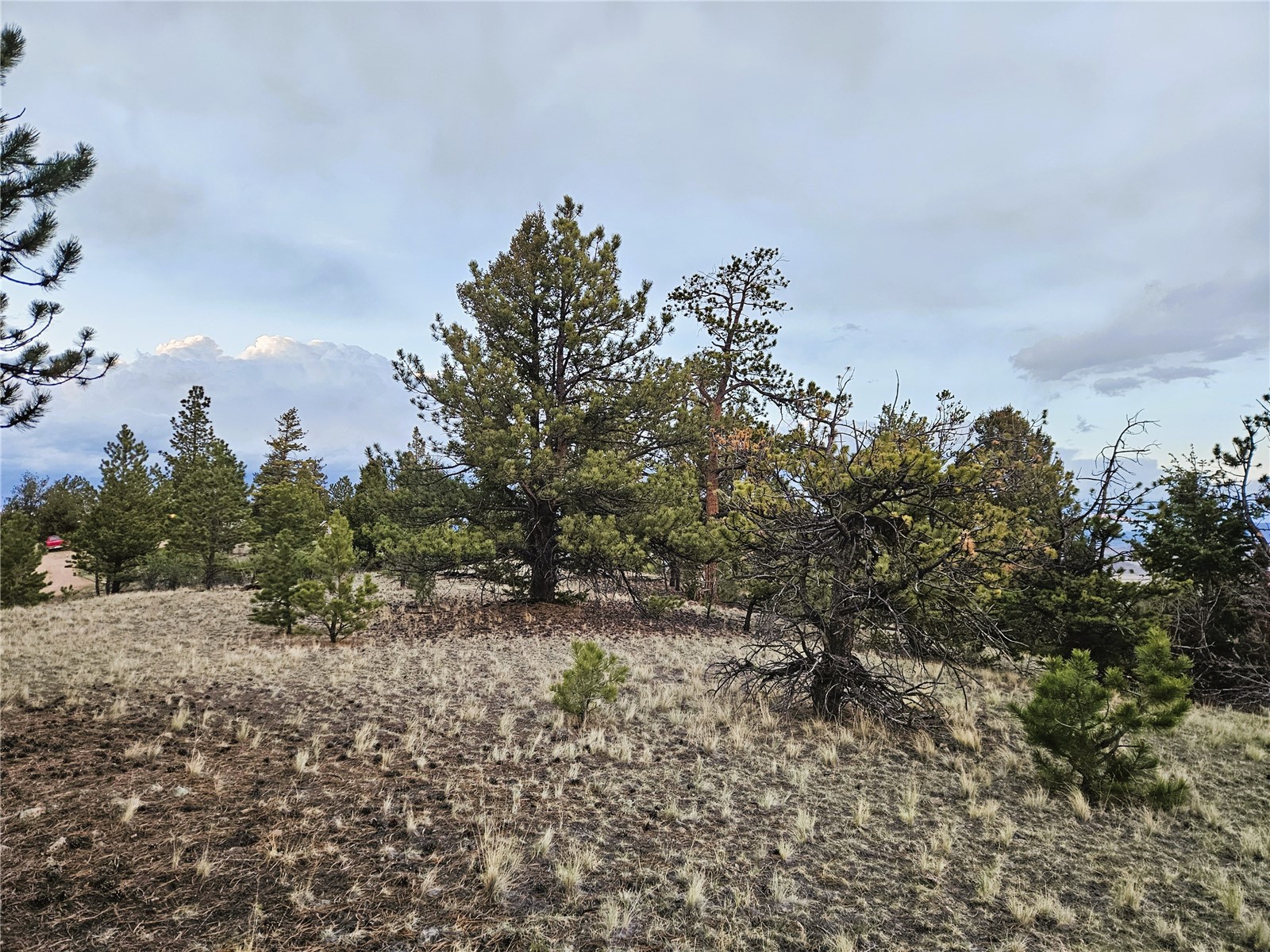 Pcs#24807 Satanta Trail Property Photo 21