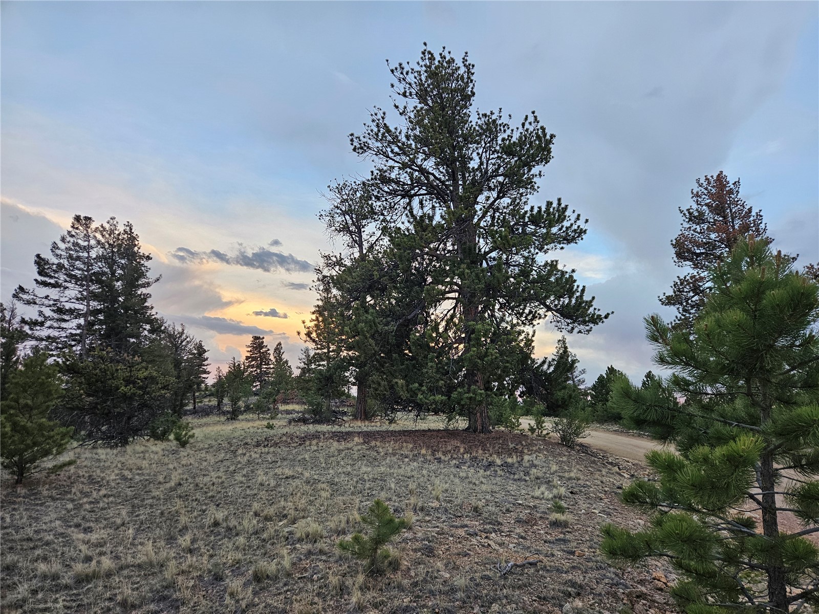 Pcs#24807 Satanta Trail Property Photo 22