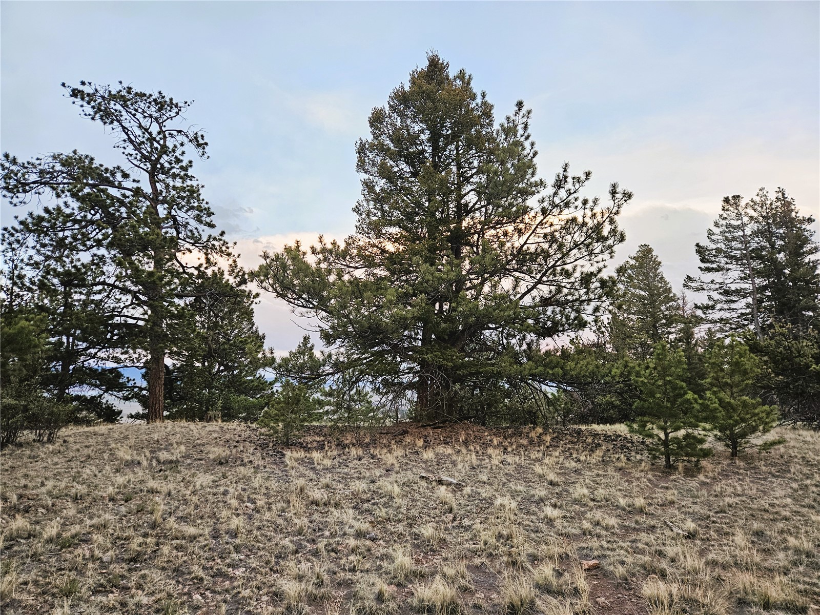 Pcs#24807 Satanta Trail Property Photo 23
