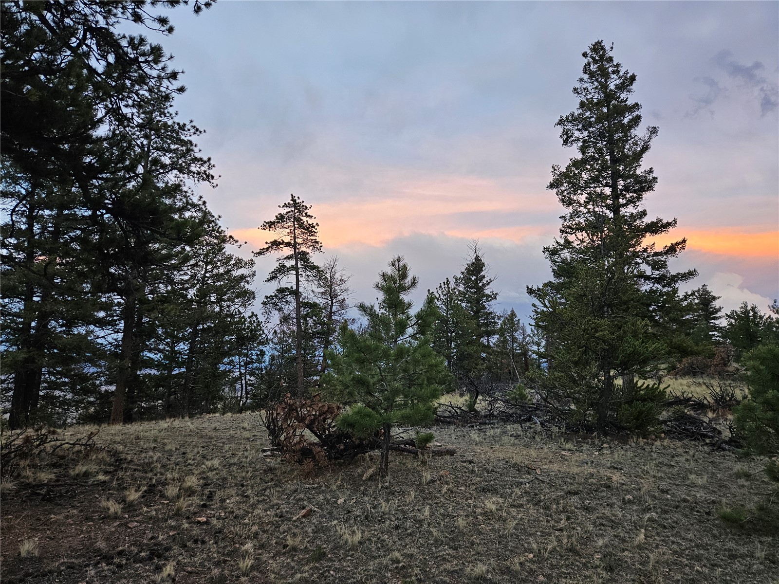 Pcs#24807 Satanta Trail Property Photo 25