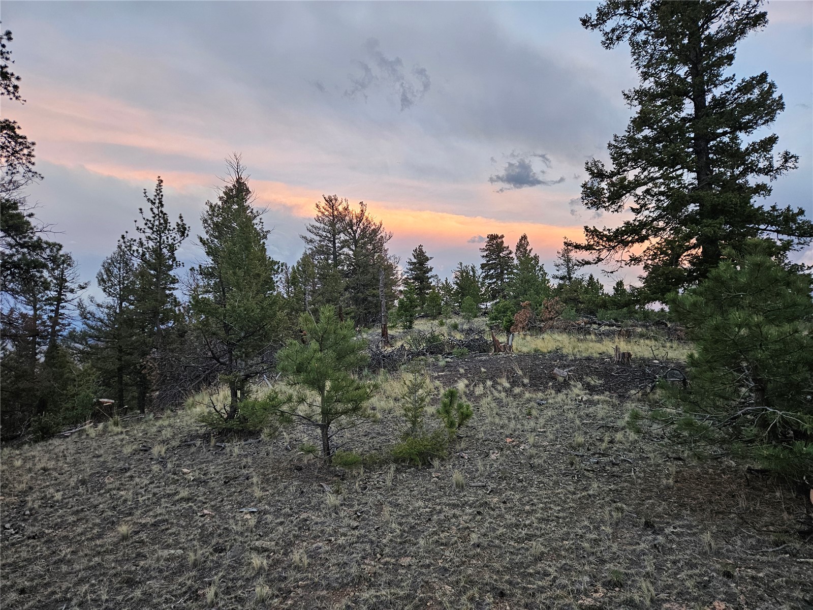 Pcs#24807 Satanta Trail Property Photo 26