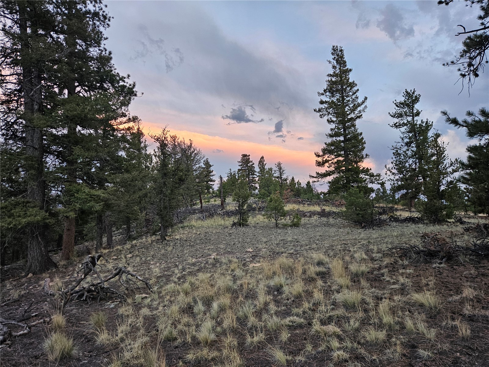 Pcs#24807 Satanta Trail Property Photo 27