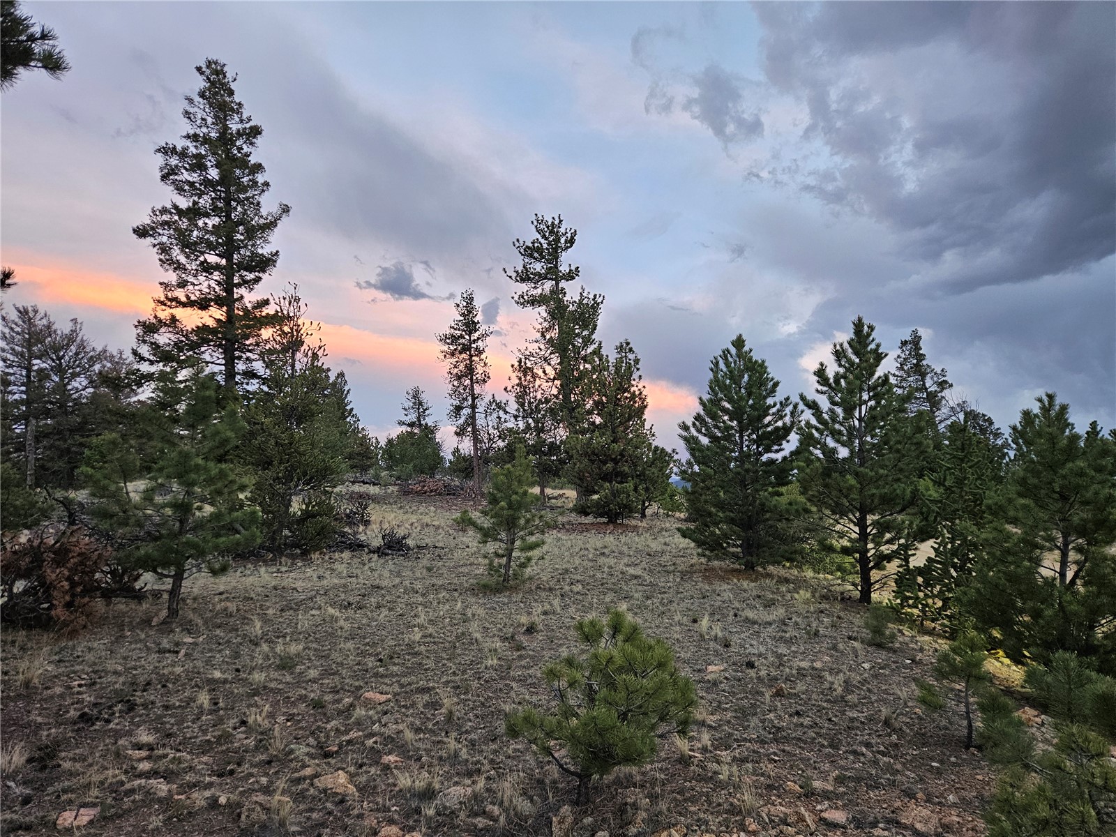 Pcs#24807 Satanta Trail Property Photo 28