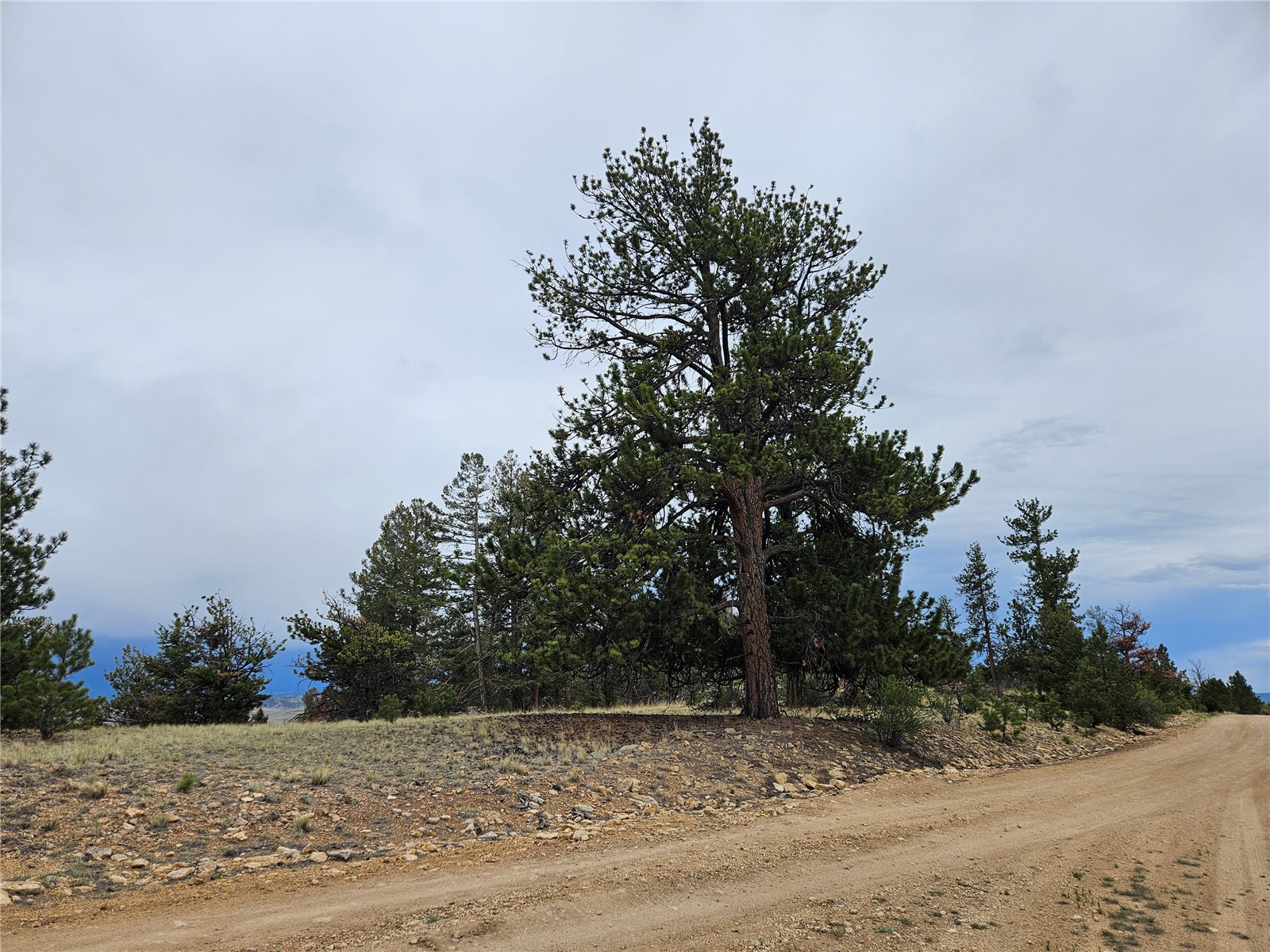 Pcs#24807 Satanta Trail Property Photo 30